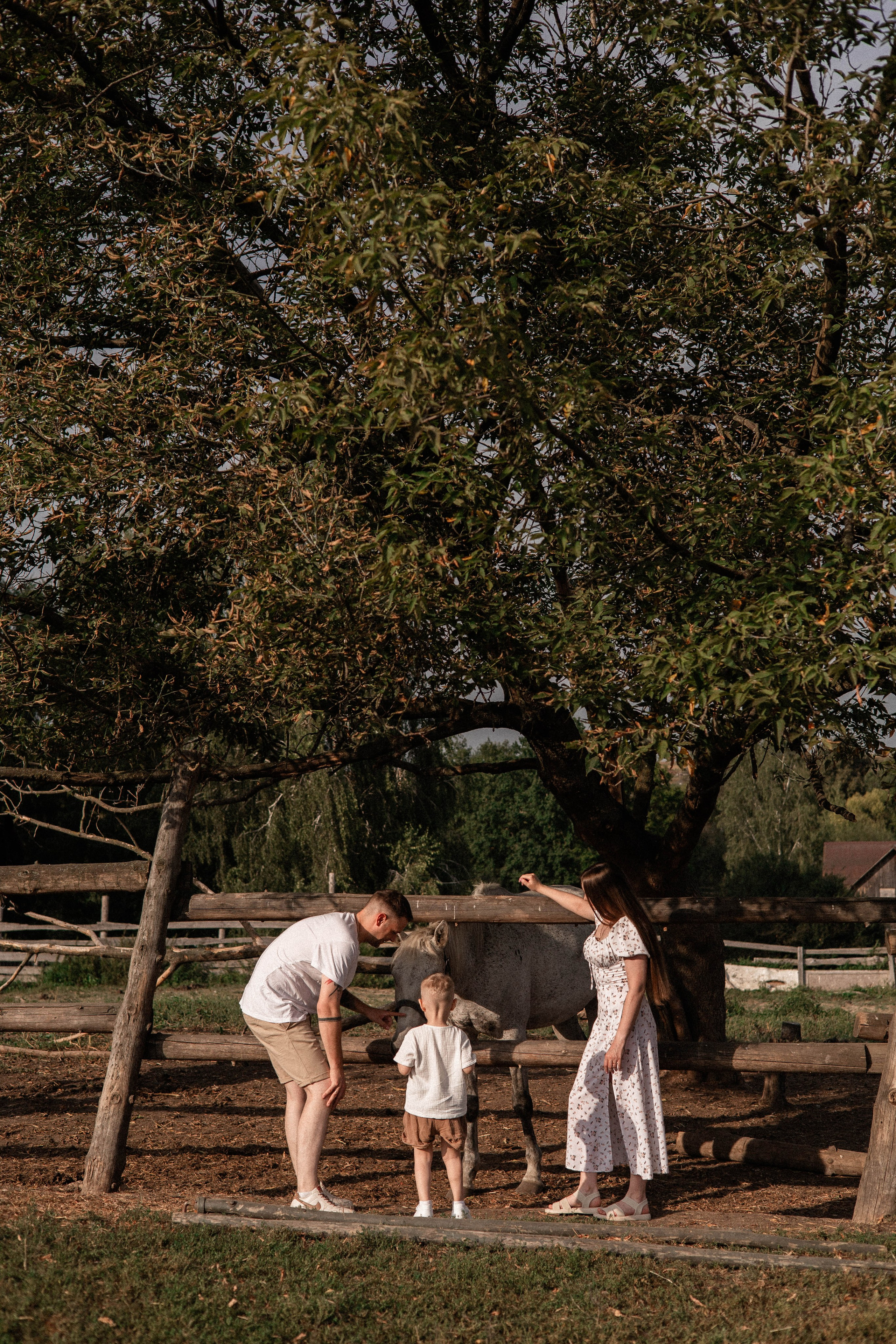 Давид, Настя и Дима. Свадебный и портретный фотограф Соломко Диана