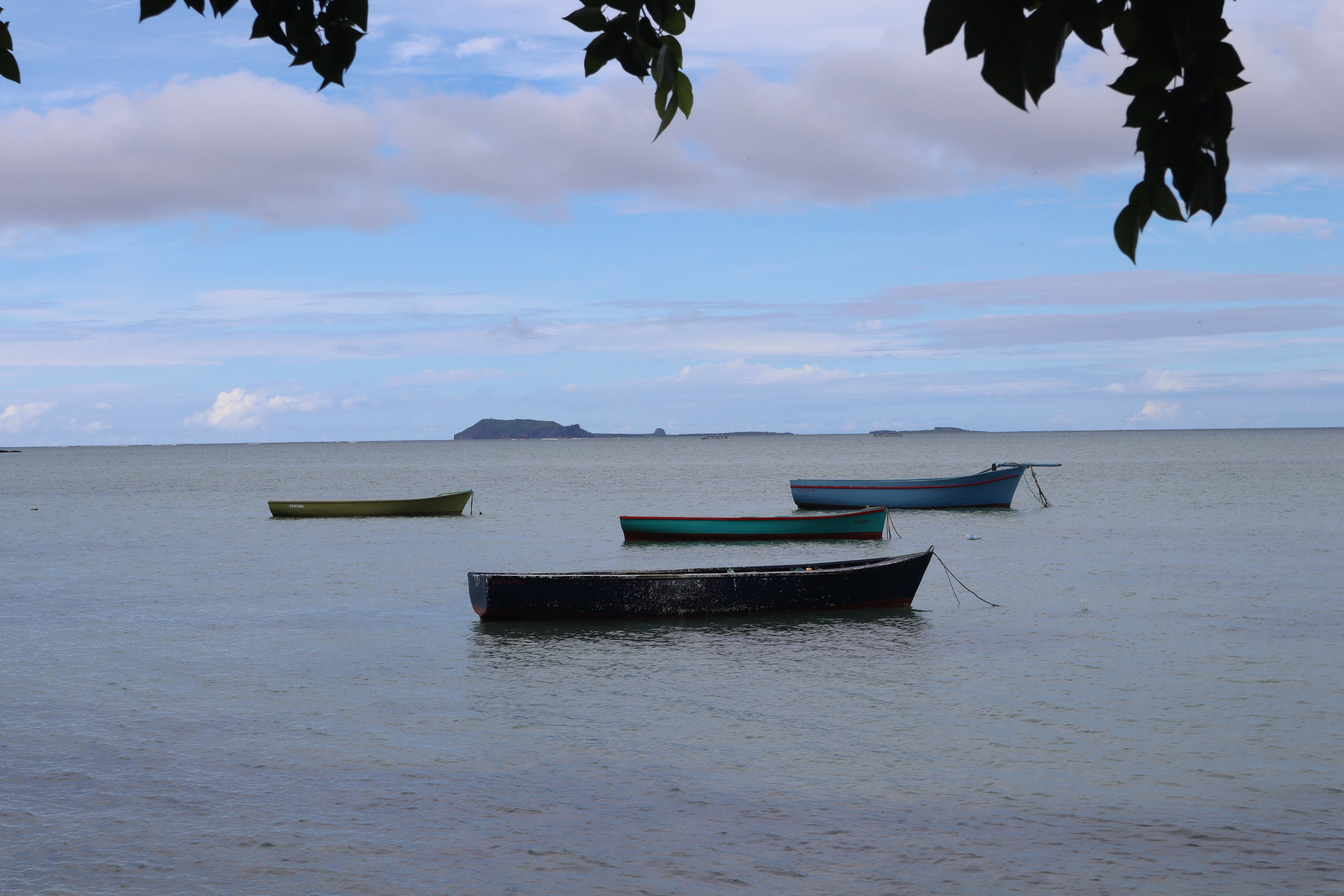 Путешествие на родину птицы додо. Travel photographer Ksenia