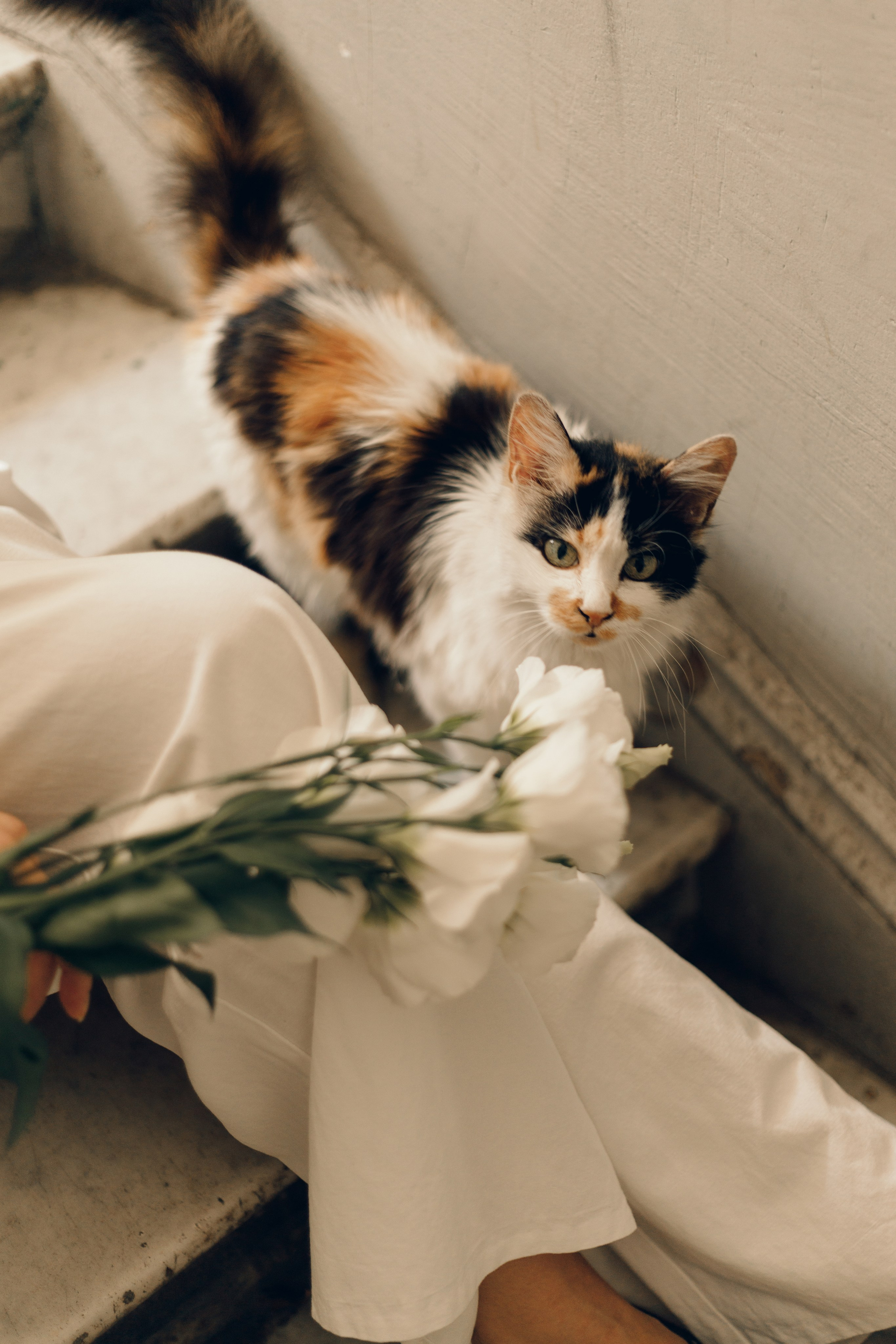 Кира и Сергей. Фотограф в Тбилиси Наталья Фомина