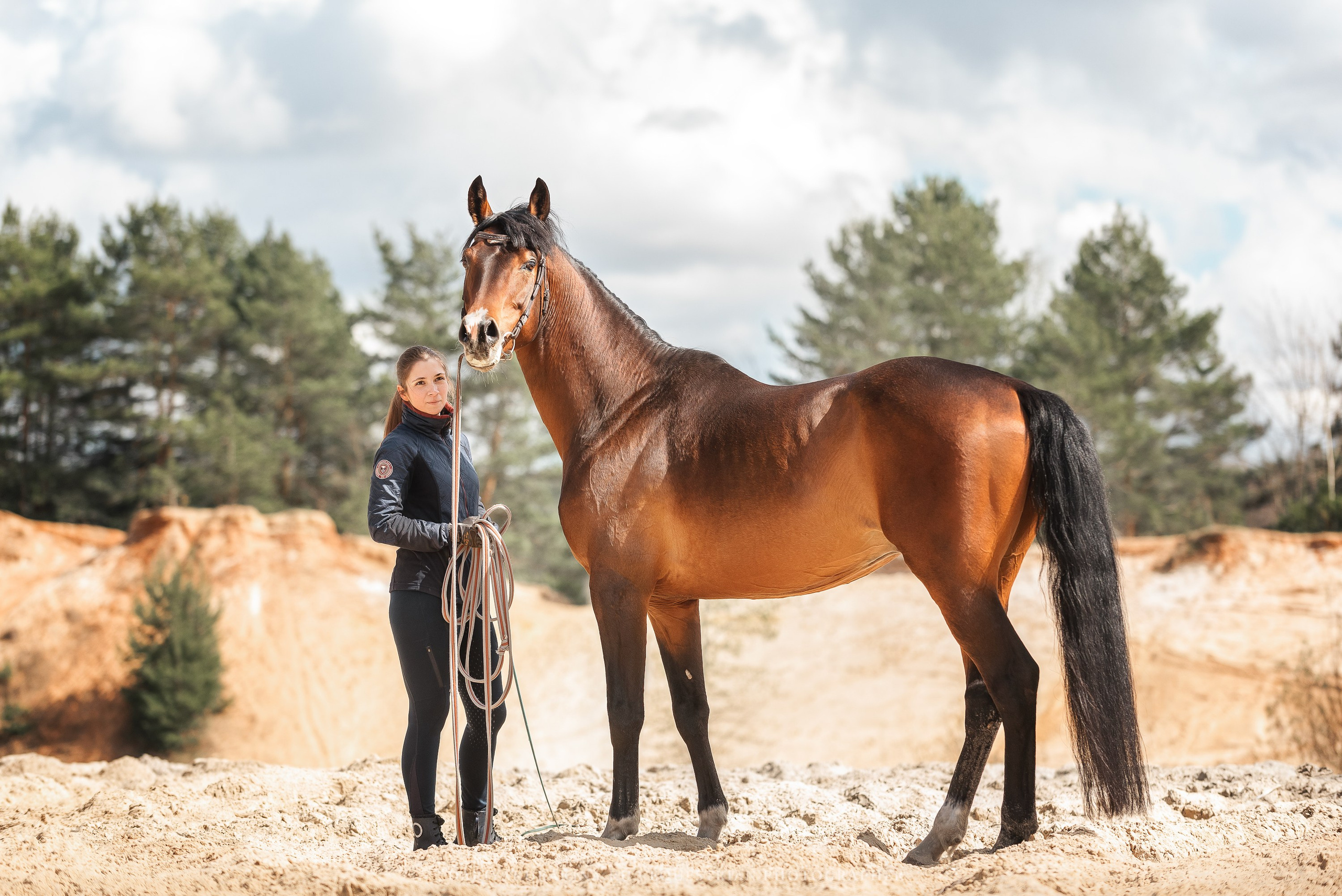 Веня, HORSIO. Конный фотограф Куракина Дарья • Фотосессии с лошадьми
