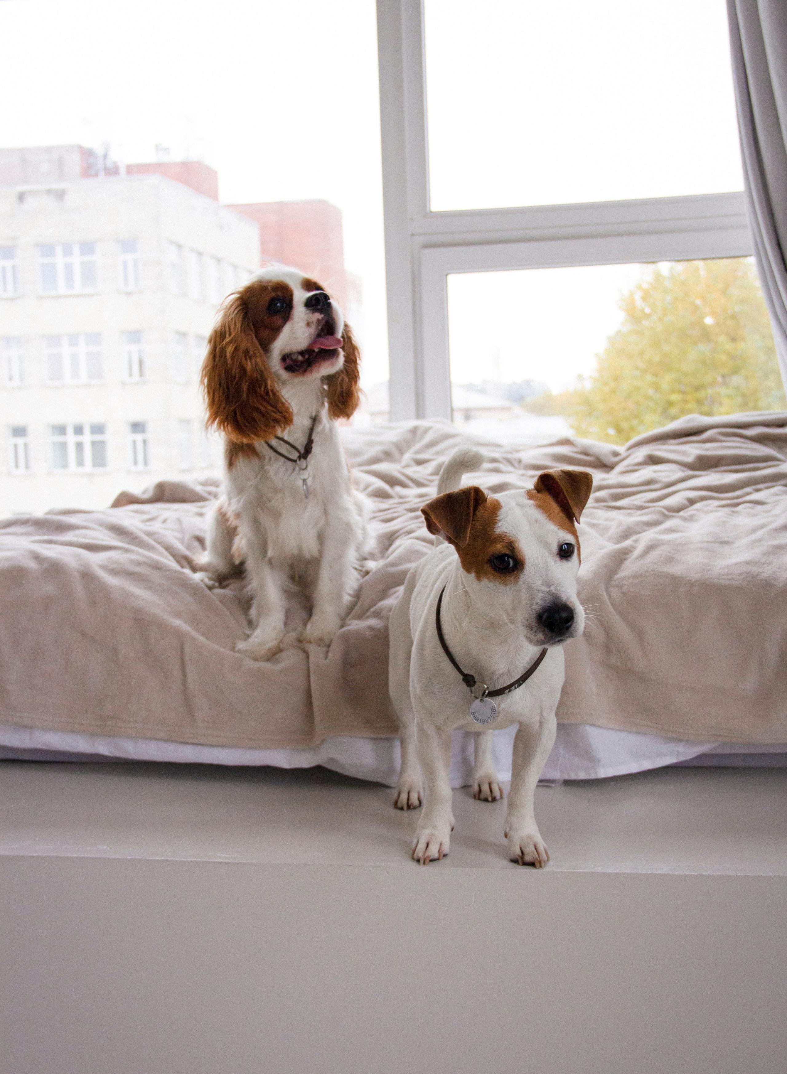 Валерия и Алексей. Фотограф в Санкт-Петербурге Смирнова Диана