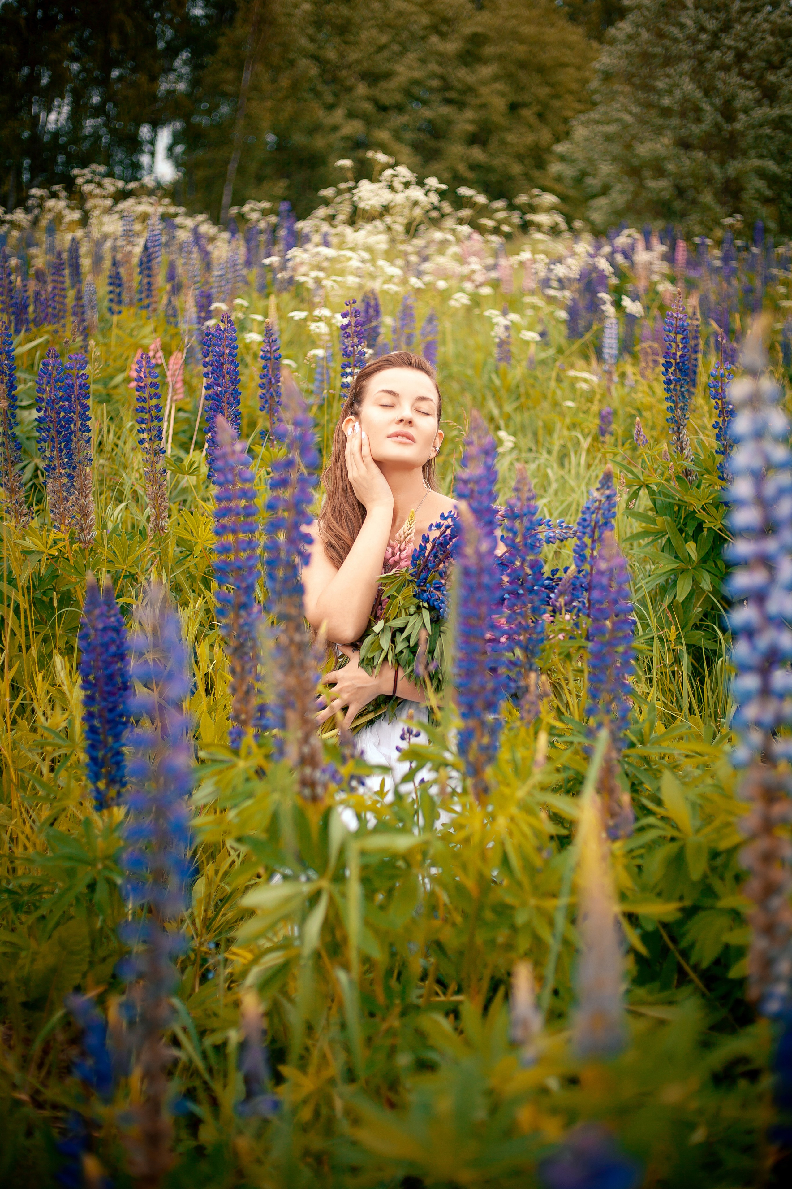 Люпины. Фотограф Мария Кольцова