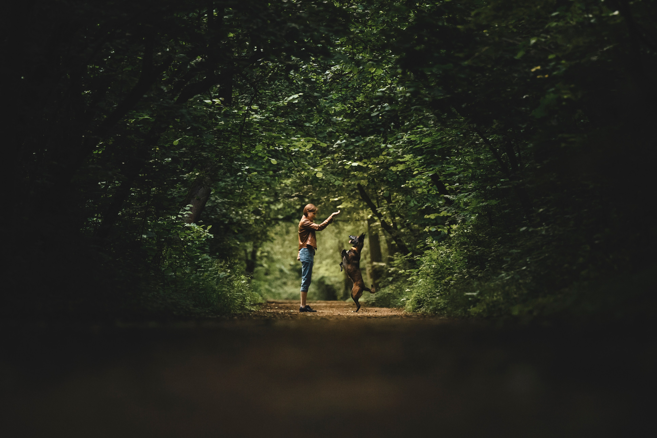 Вика, Ари и Нави. Семейный фотограф анималист Ананьева Мария — Москва