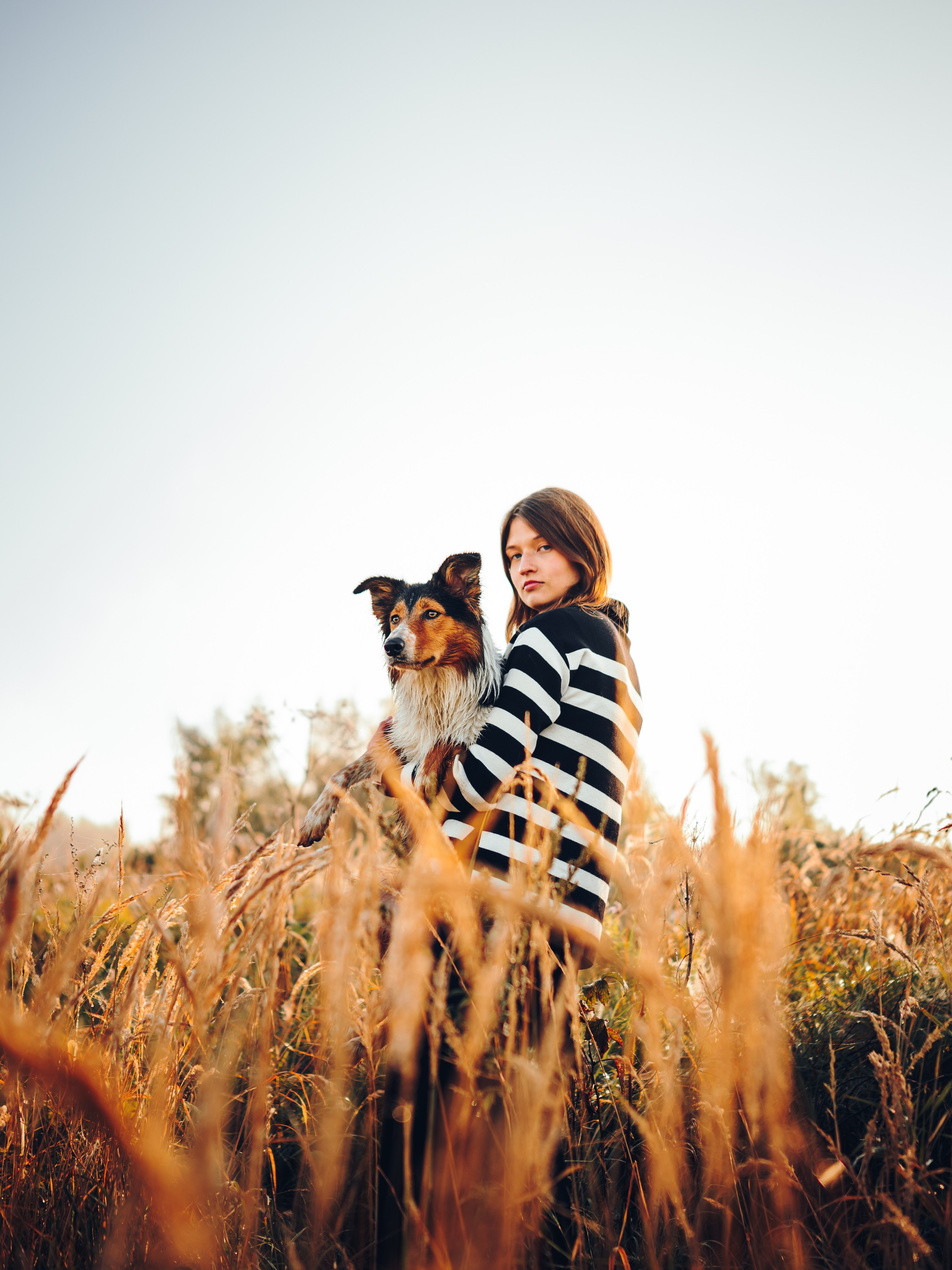 Саша, Флик и Эсприт. Семейный фотограф анималист Ананьева Мария — Москва