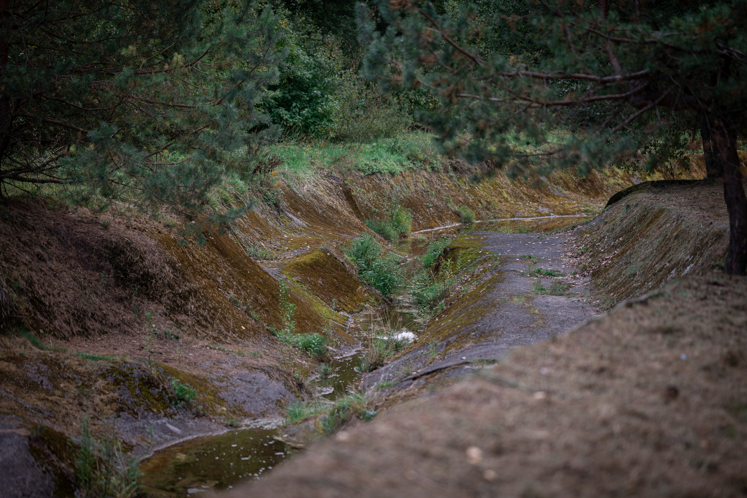 Места. Фотограф в Минске Дарья Кончакова