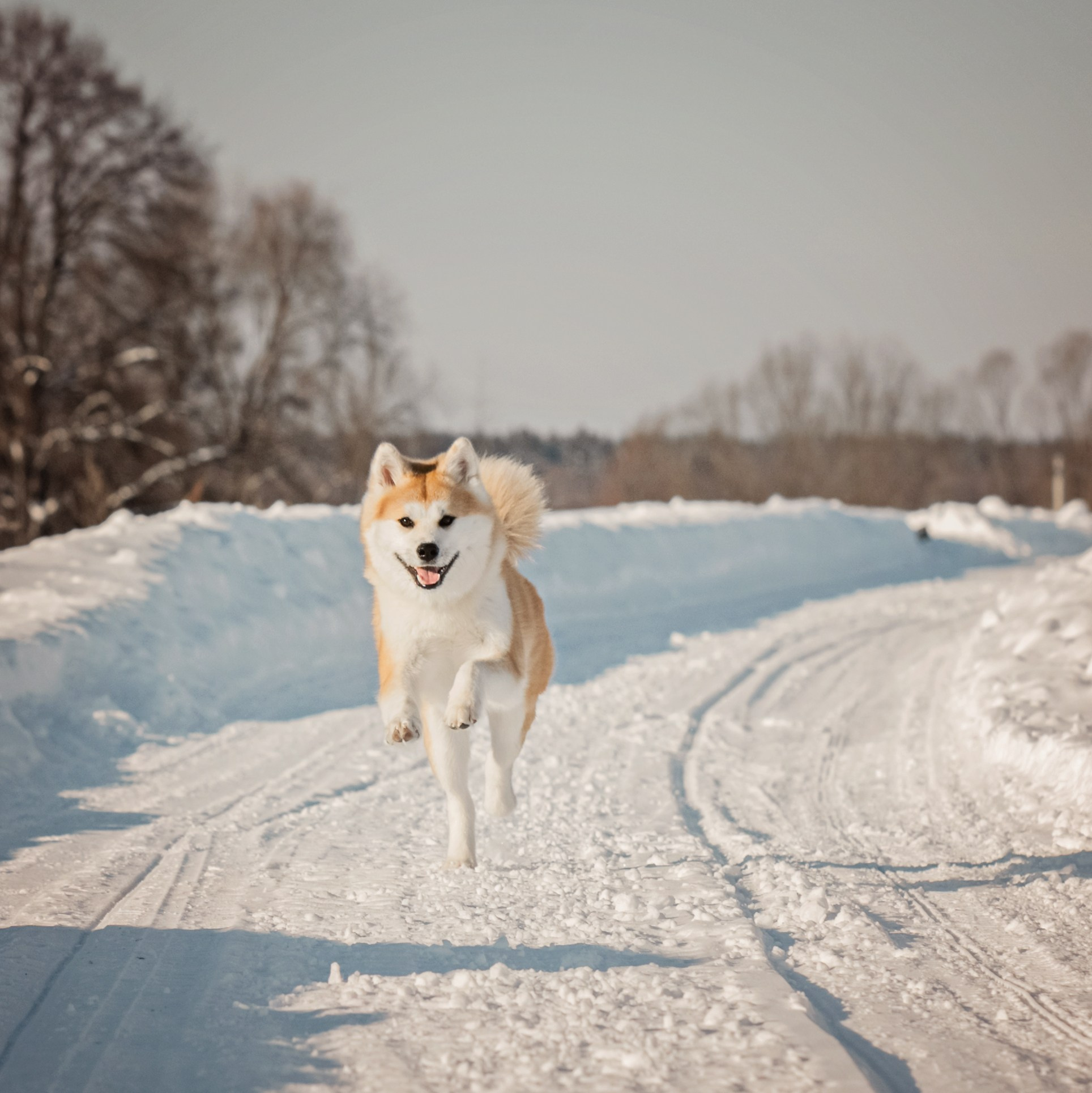 Катя и Ханна. Le_Dlu Фотограф Елена Длужинская
