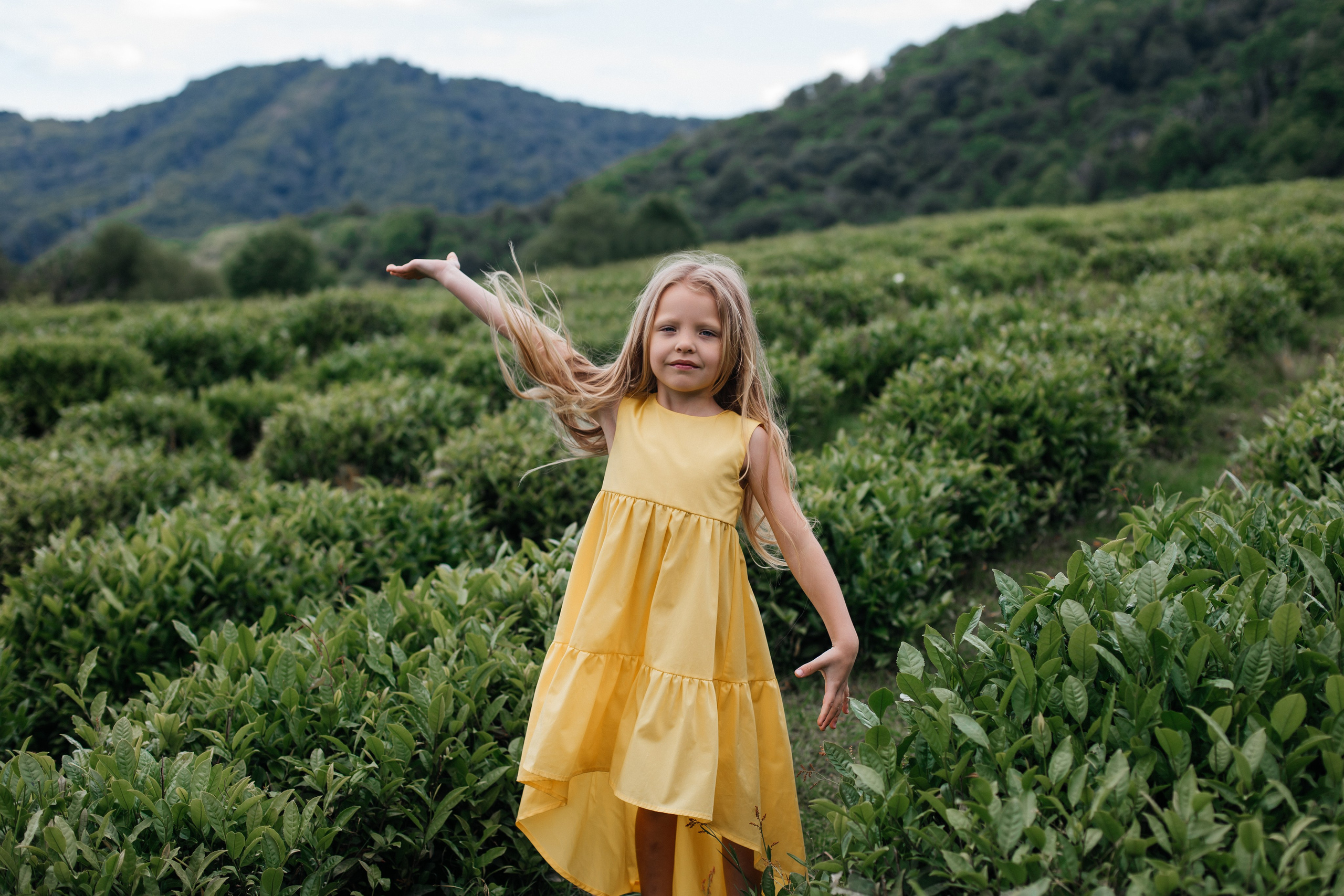 Tea plantation. Efimova Model Agency