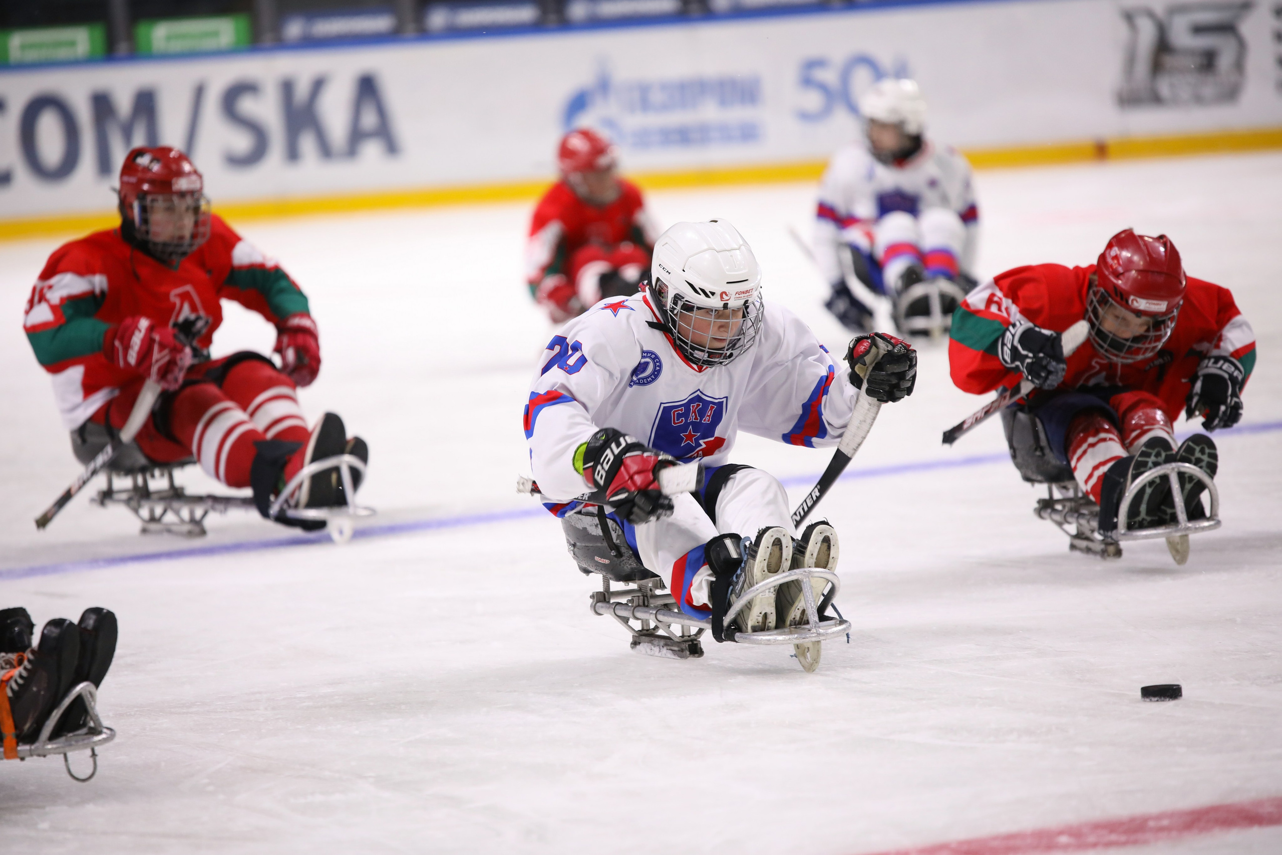 Следж-хоккей. Спортивный фотограф в Санкт-Петербурге Наталья Ксенофонтова