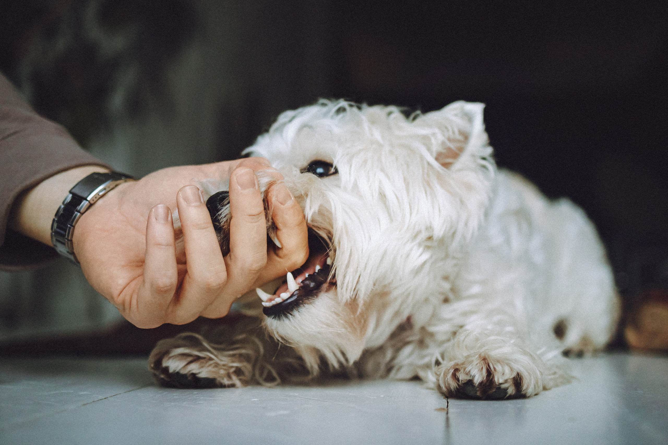 Вика, Глеб и Тори