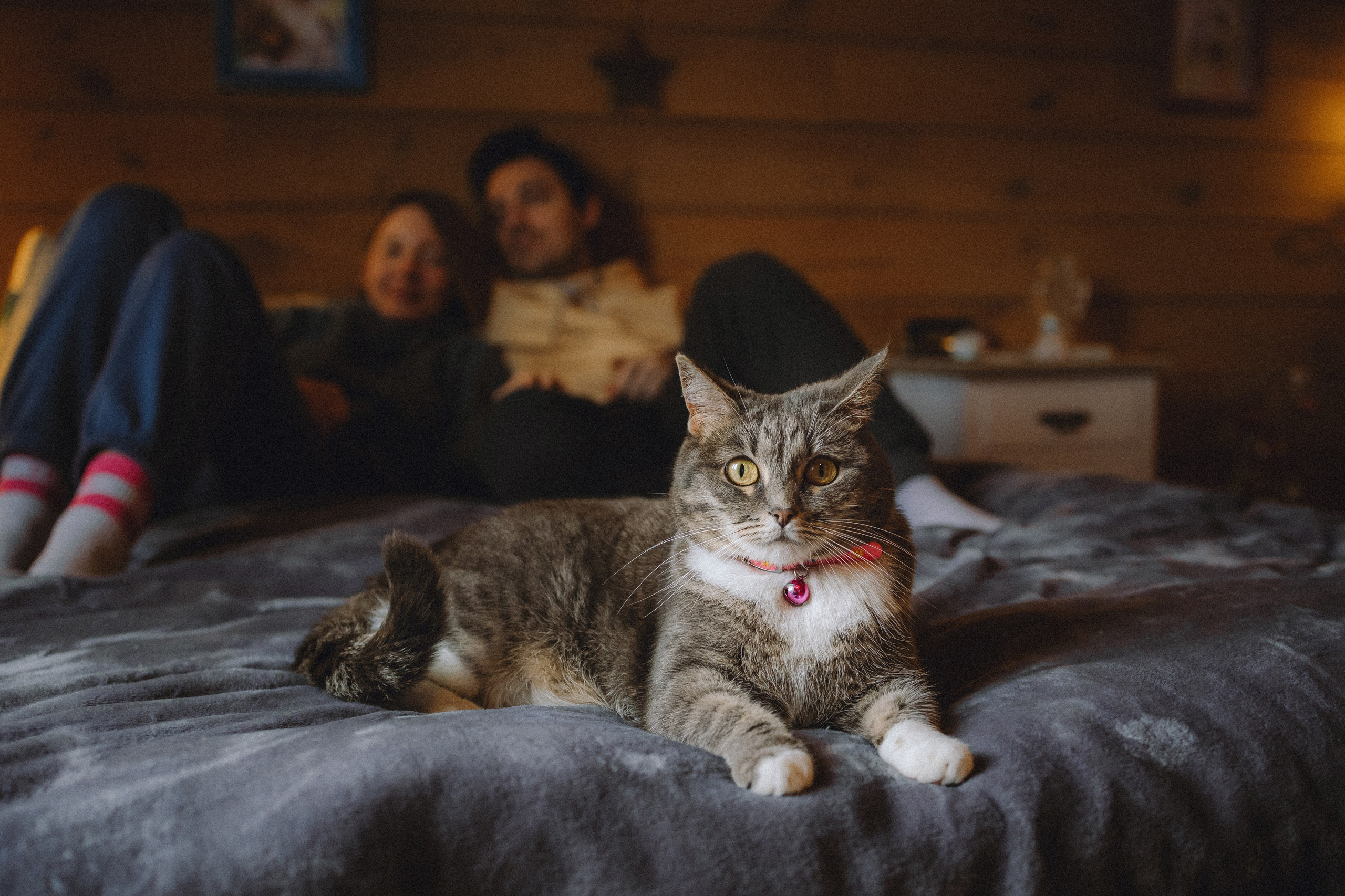 Леброн, Муся и их семья