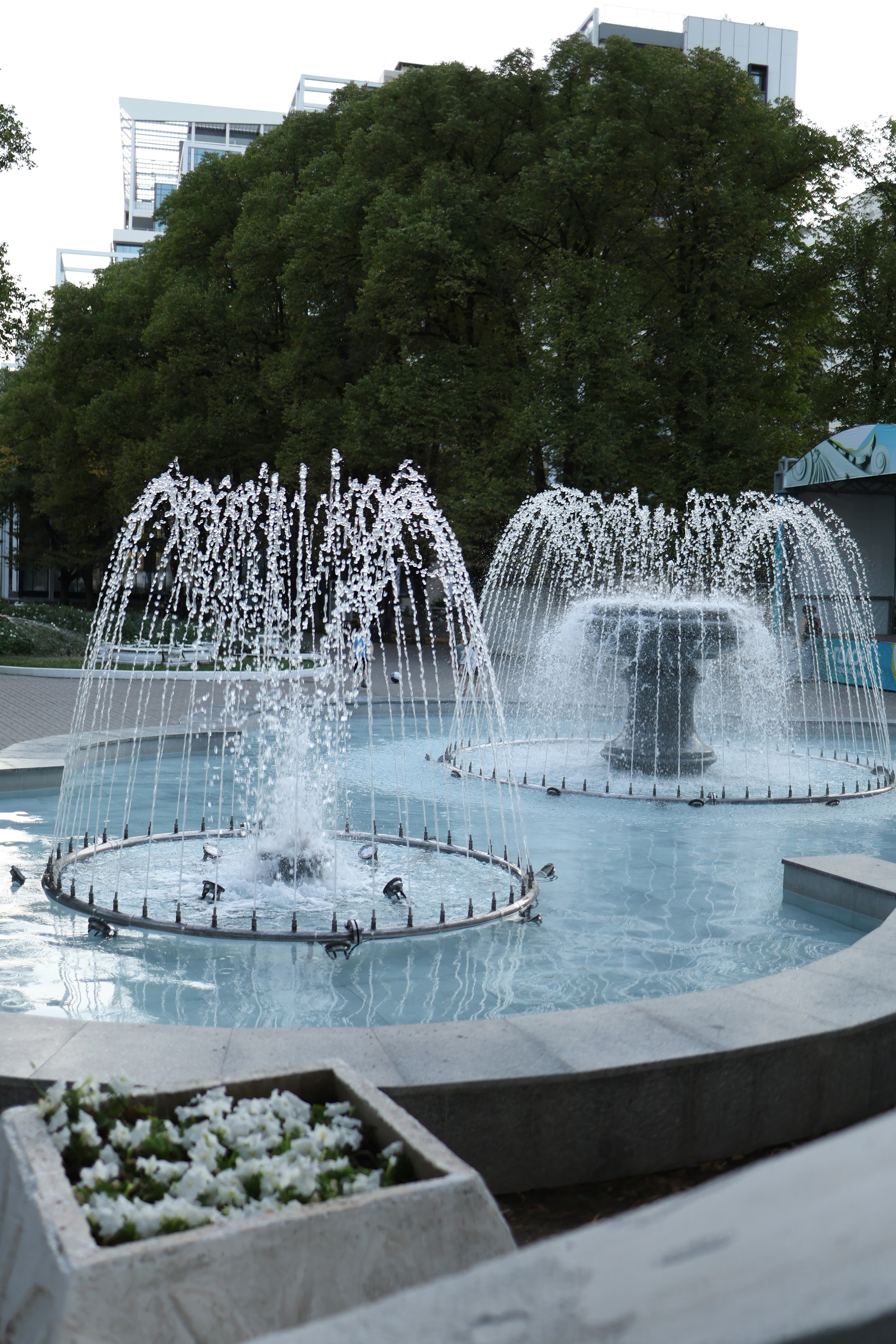 Локации для свадебной фотосессии. Свадебный фотограф | Ростов-на-Дону | Краснодар | Сочи