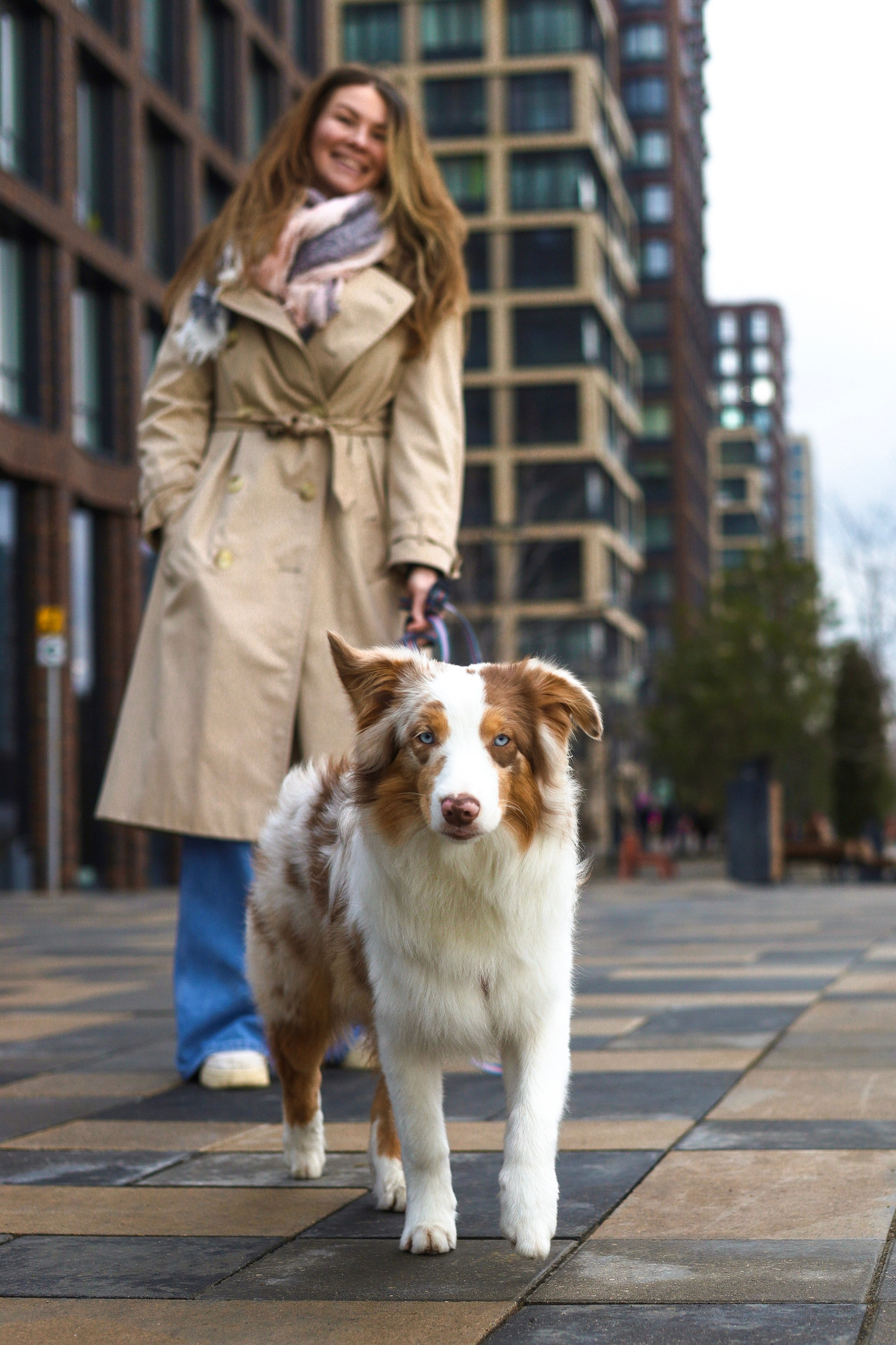 Бри и Яна. Фотограф-анималист Ксения Шевцова|Москва