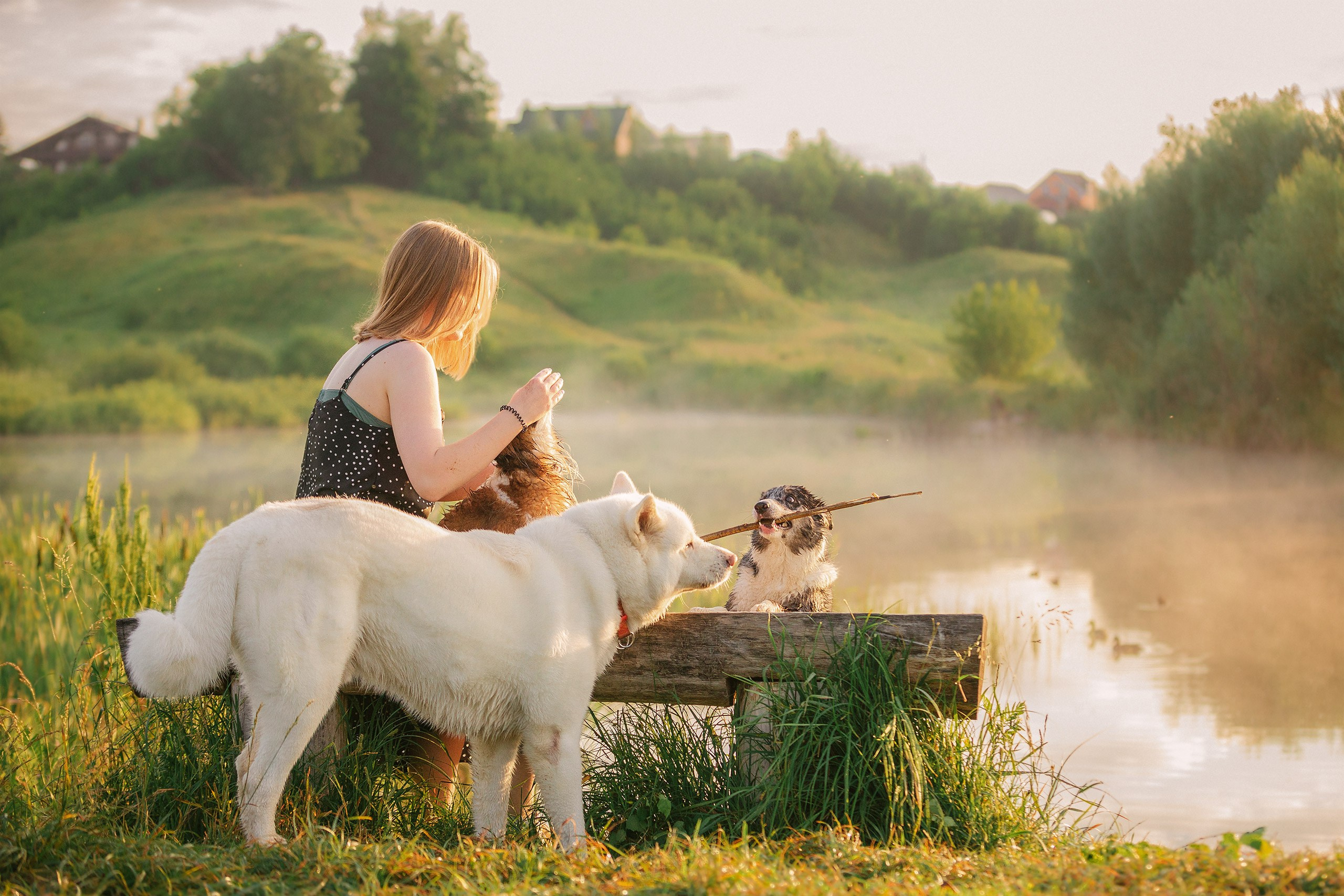 Таня и команда на рассвете. Фотограф анималист Кузнецова Анна Нижний Новгород
