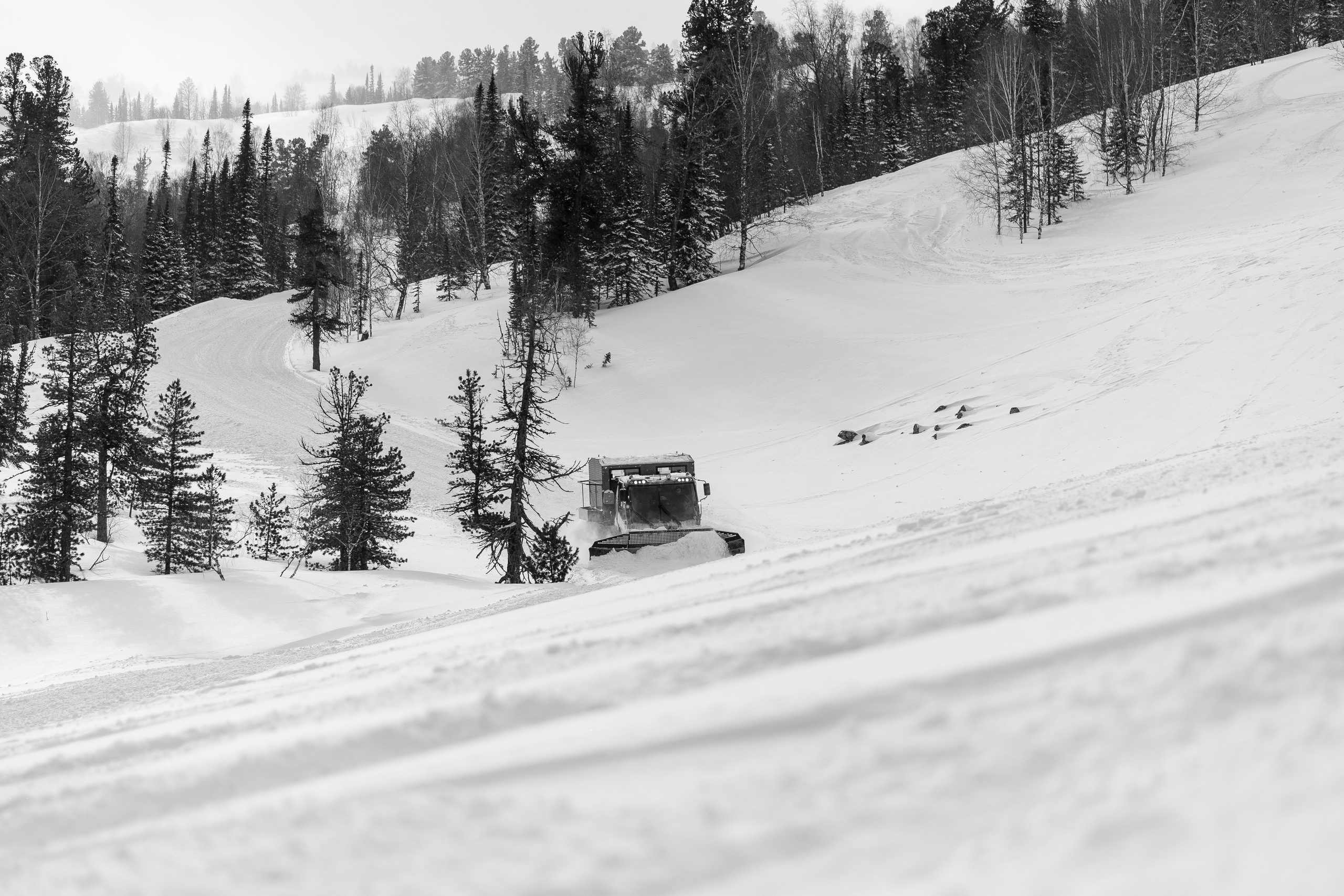 Фрирайд. Анастасия Паршукова — фотограф Шерегеш Новосибирск