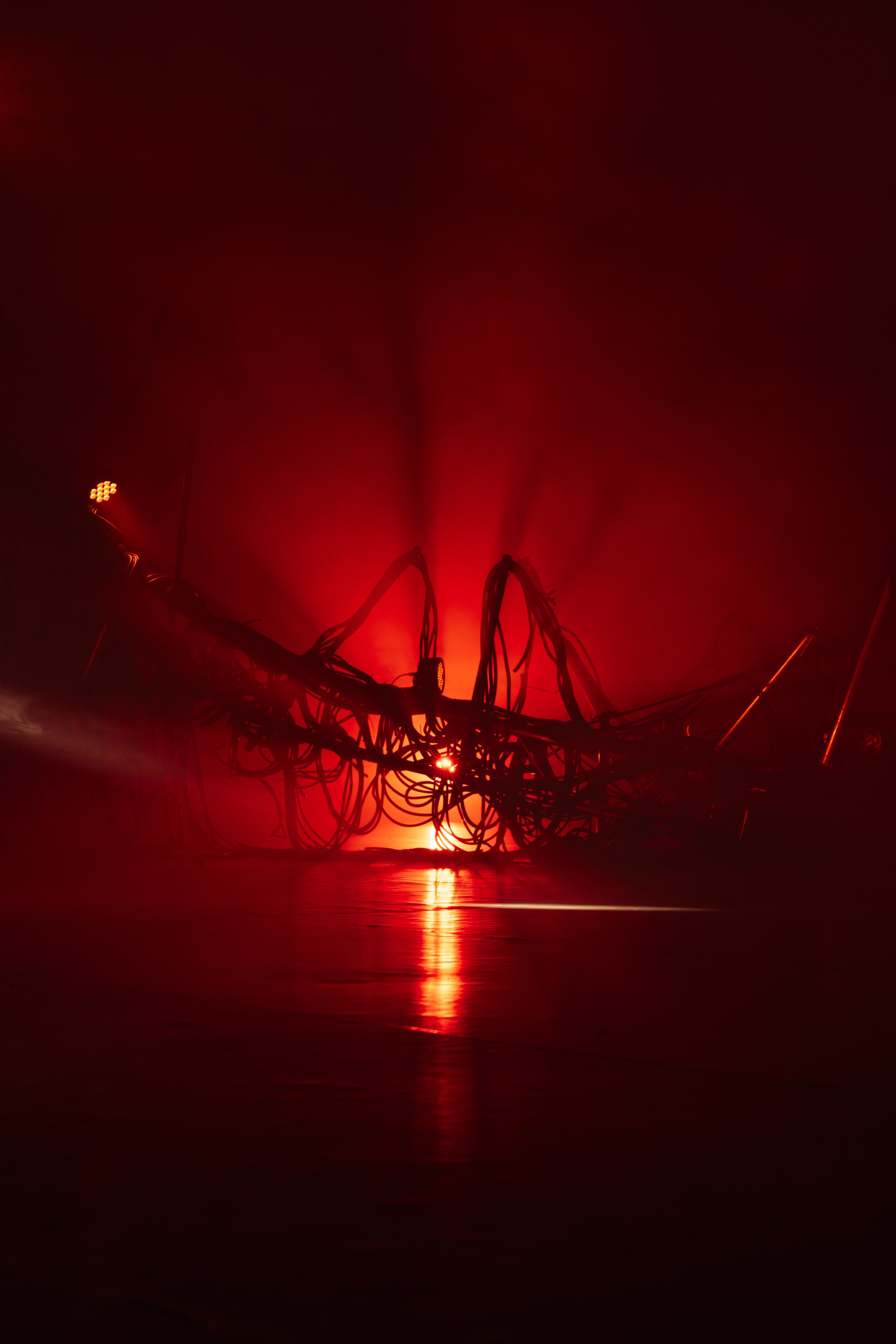 PANTERRA, CHRONOMORPH 001. @tomrus: Рустам Шагиморданов — фотограф