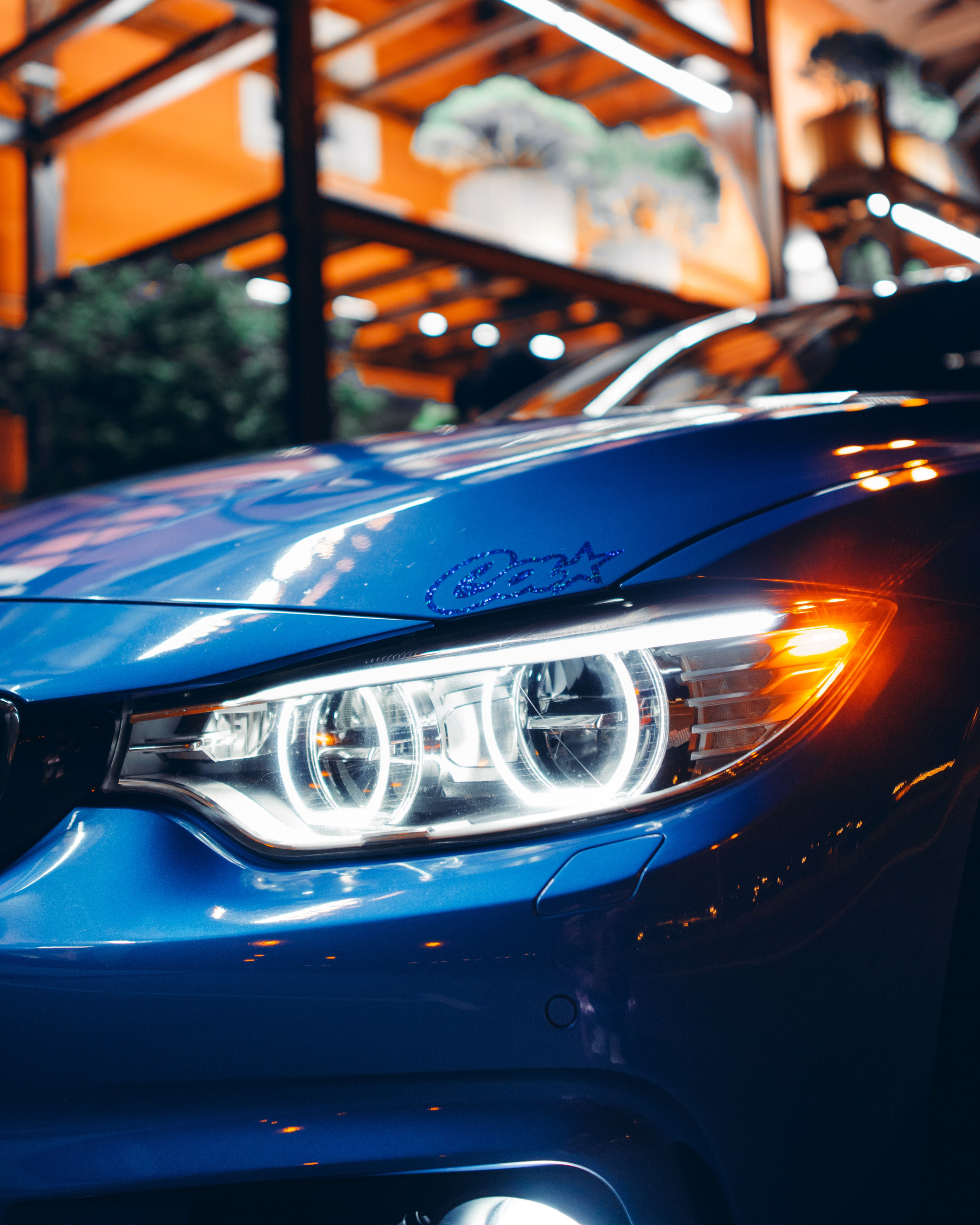 BMW F32 bobnikolaevich. DeLorein