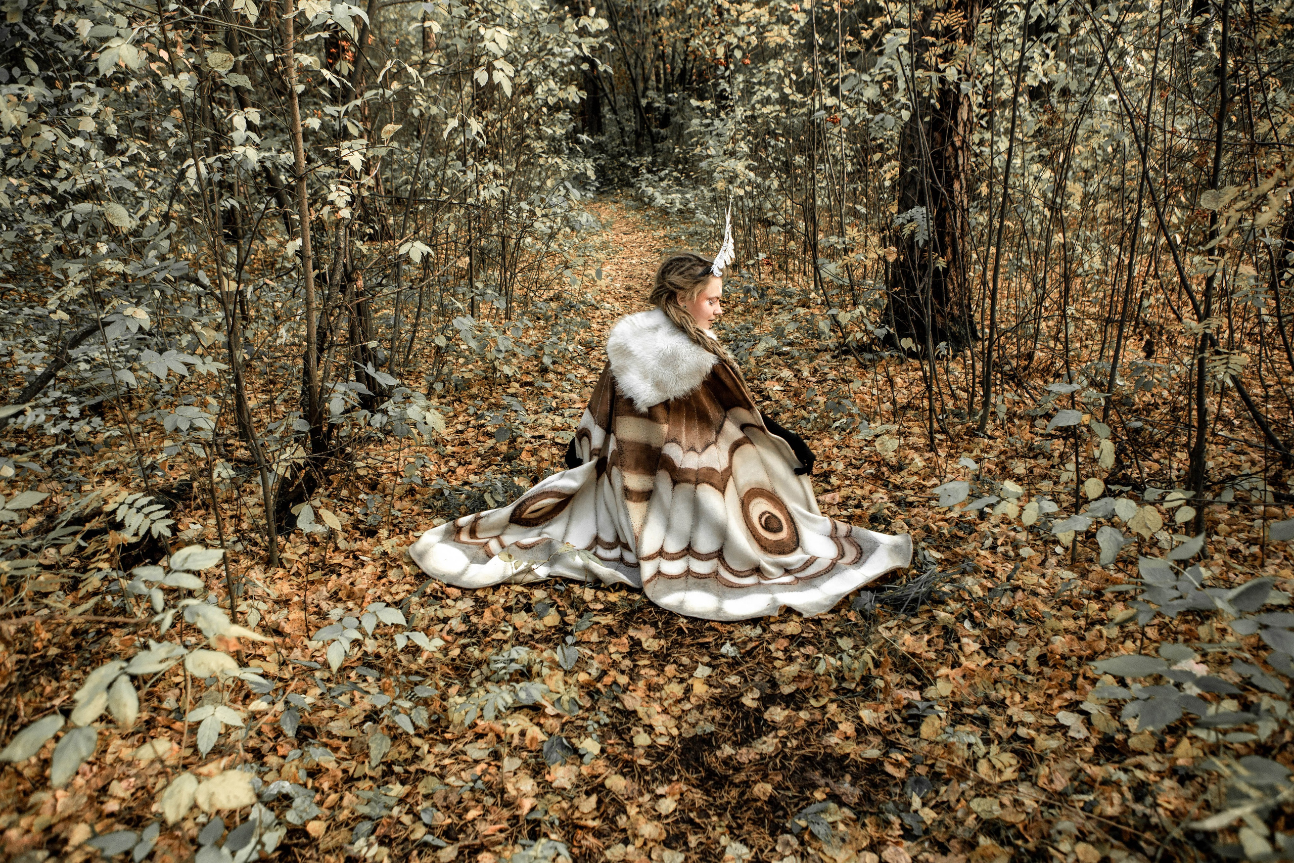 Волшебный лес. Фотограф Екатерина Голицына