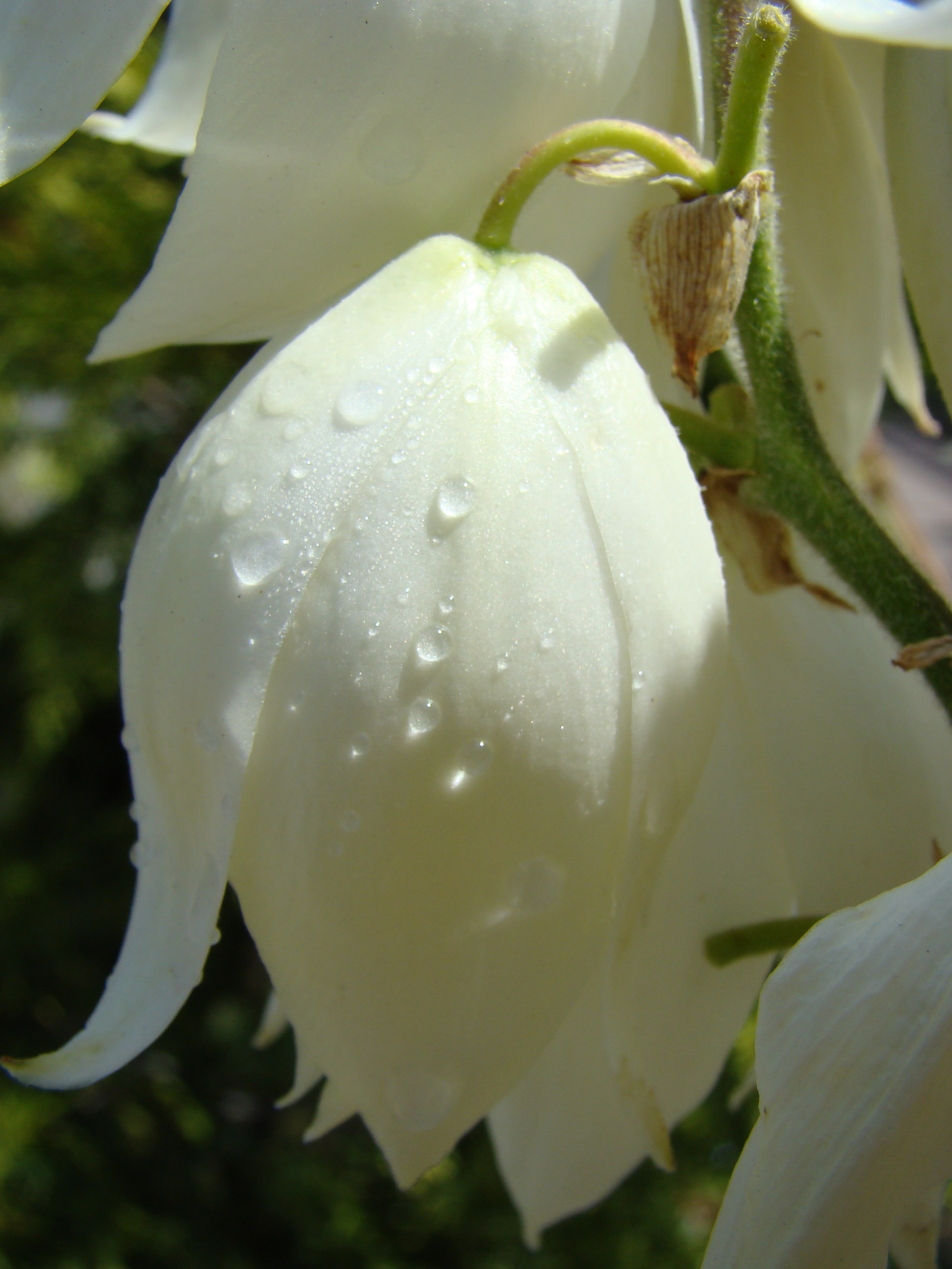 Кабардинка (фото Зевиных) 25.06-24.07.2008. Семейный, Свадебный фотограф СПБ Питер— Романова Екатерина