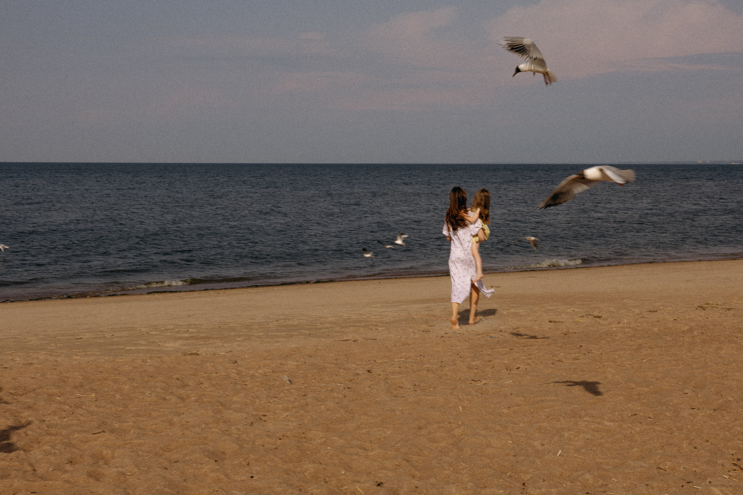 Ира, Влада и Яна. Свадебный фотограф Таня Караисаева