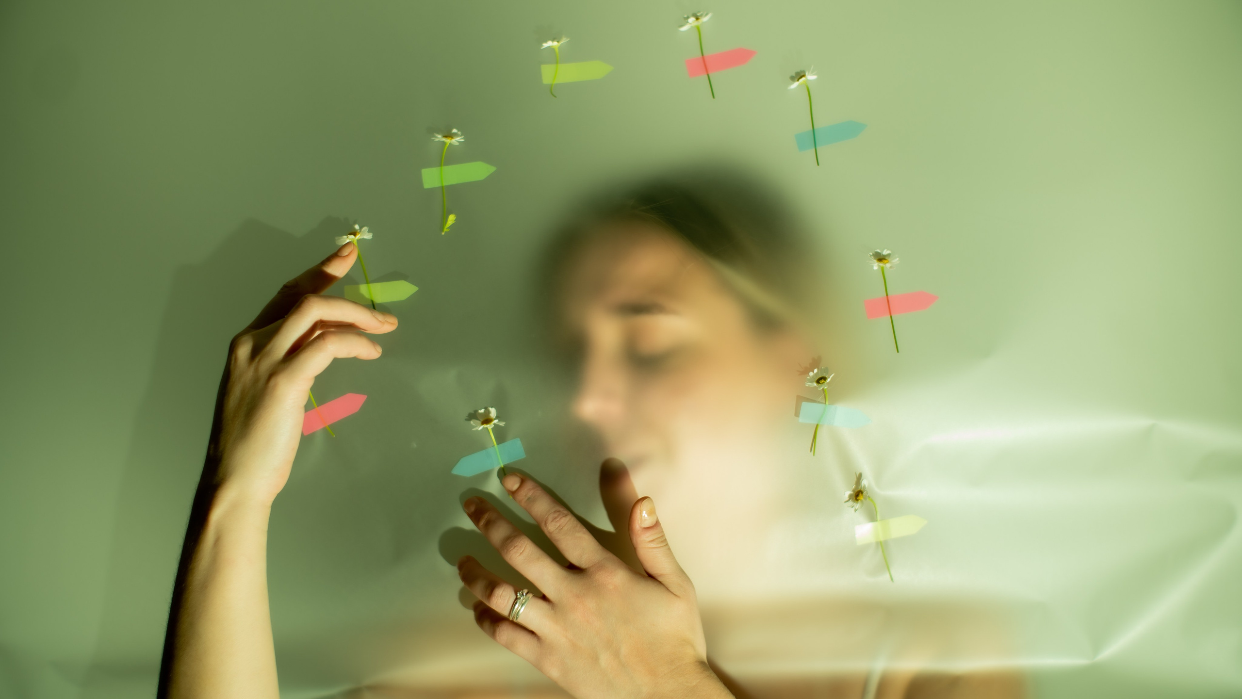 Варя. Репортажный и студийный фотограф, Москва