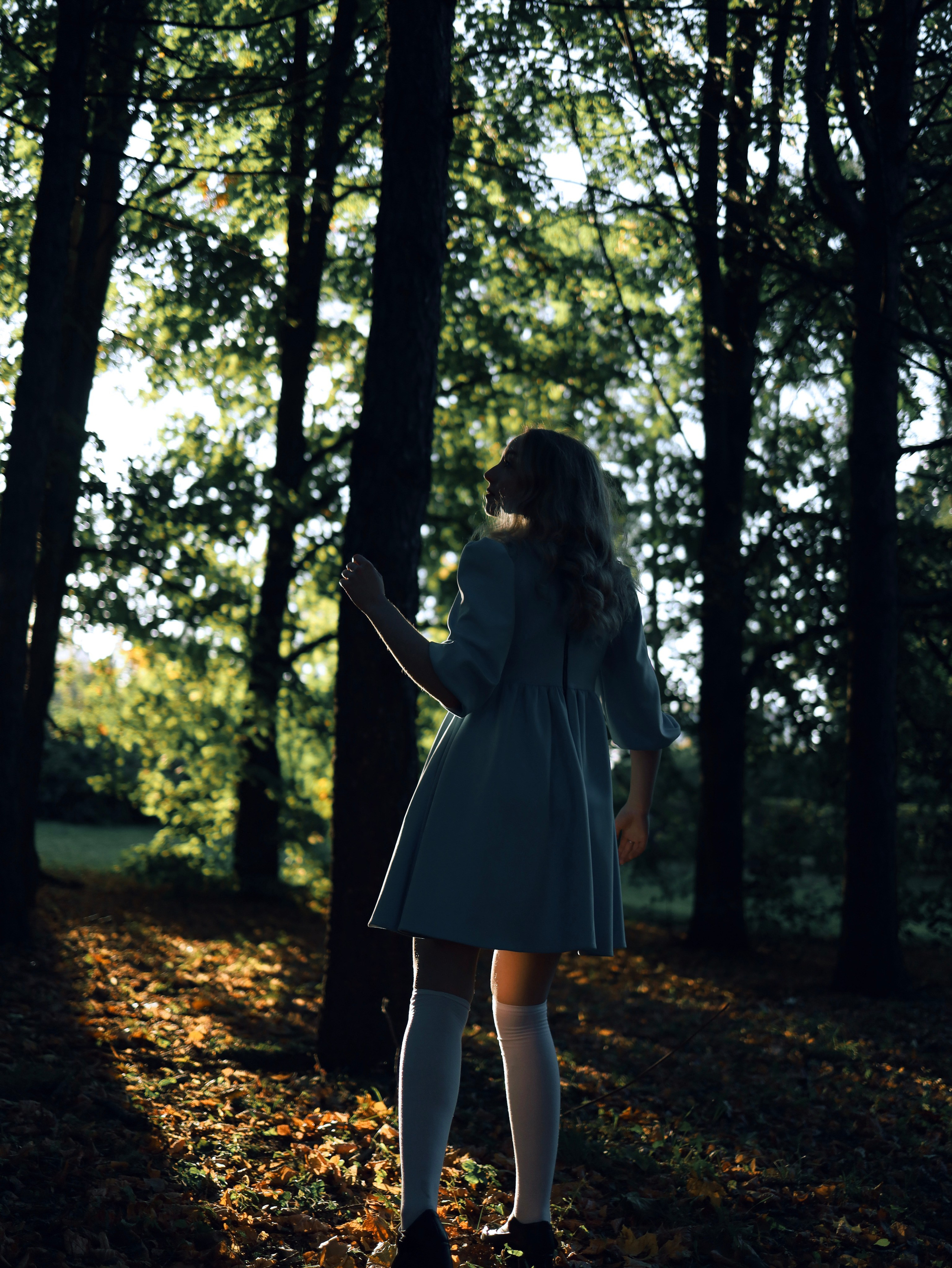 Алиса В Стране Чудес. Главная