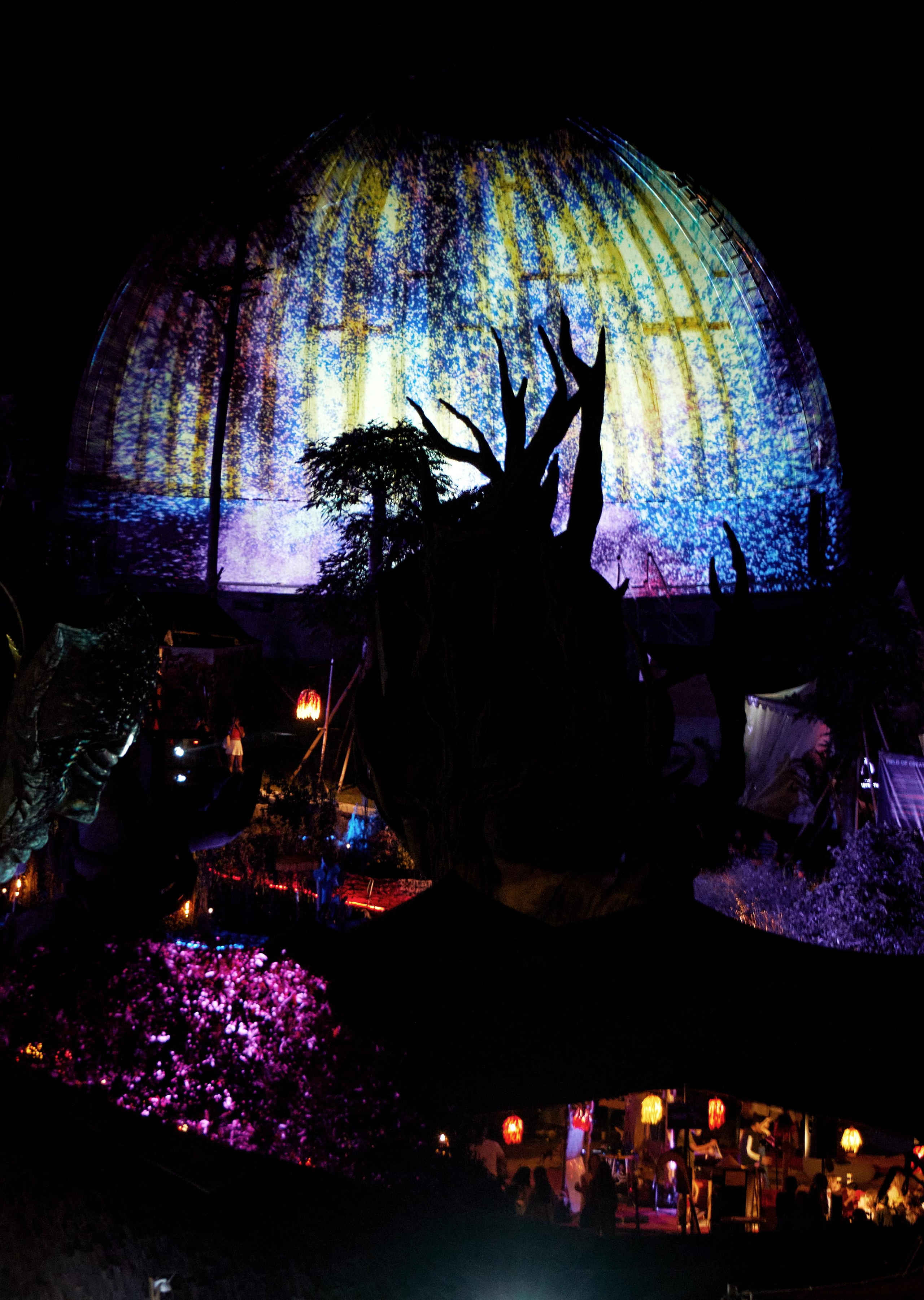 Suara festival. See the moment and catche. commercial and reportage