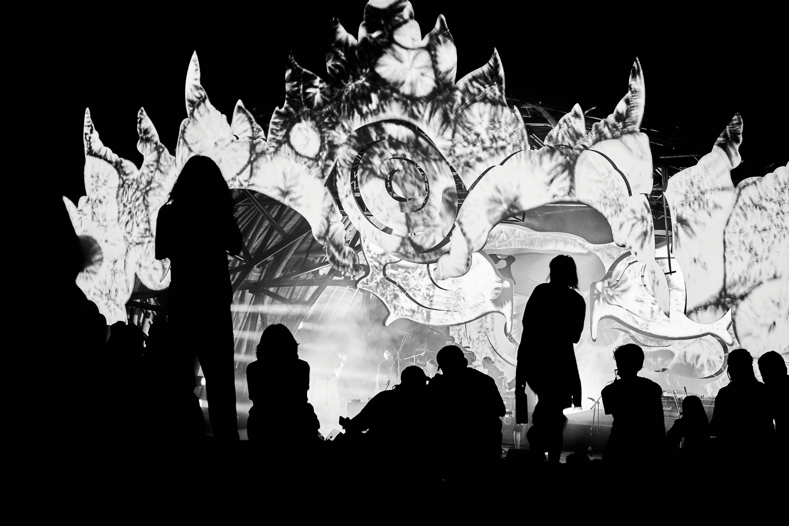 Suara festival. See the moment and catche. commercial and reportage