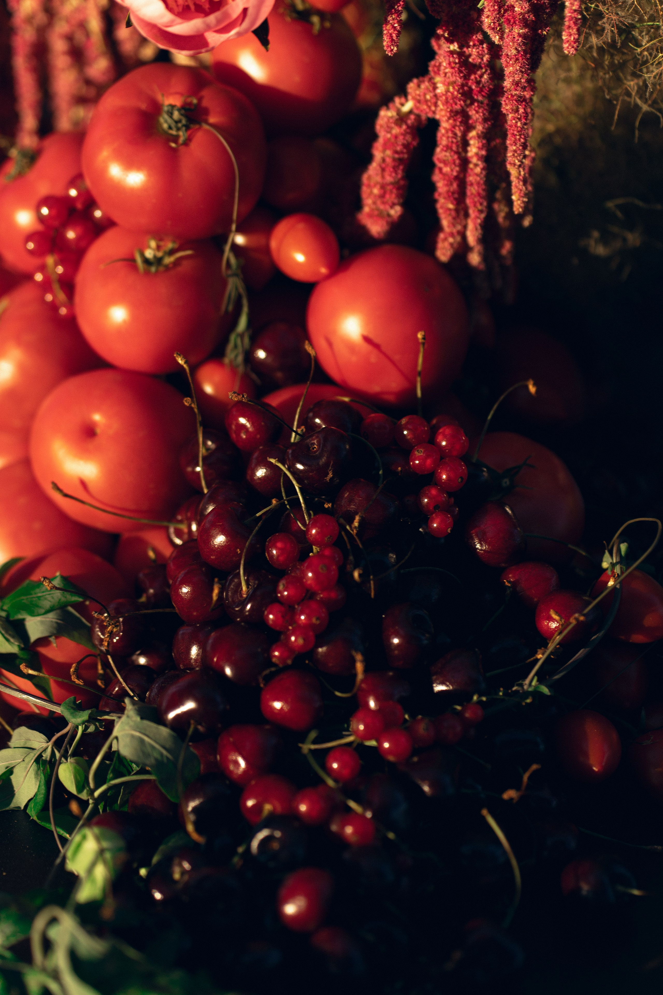 | AMOUR |. Свадебный фотограф в Москве и Санкт Петербурге Наталья Григорьева