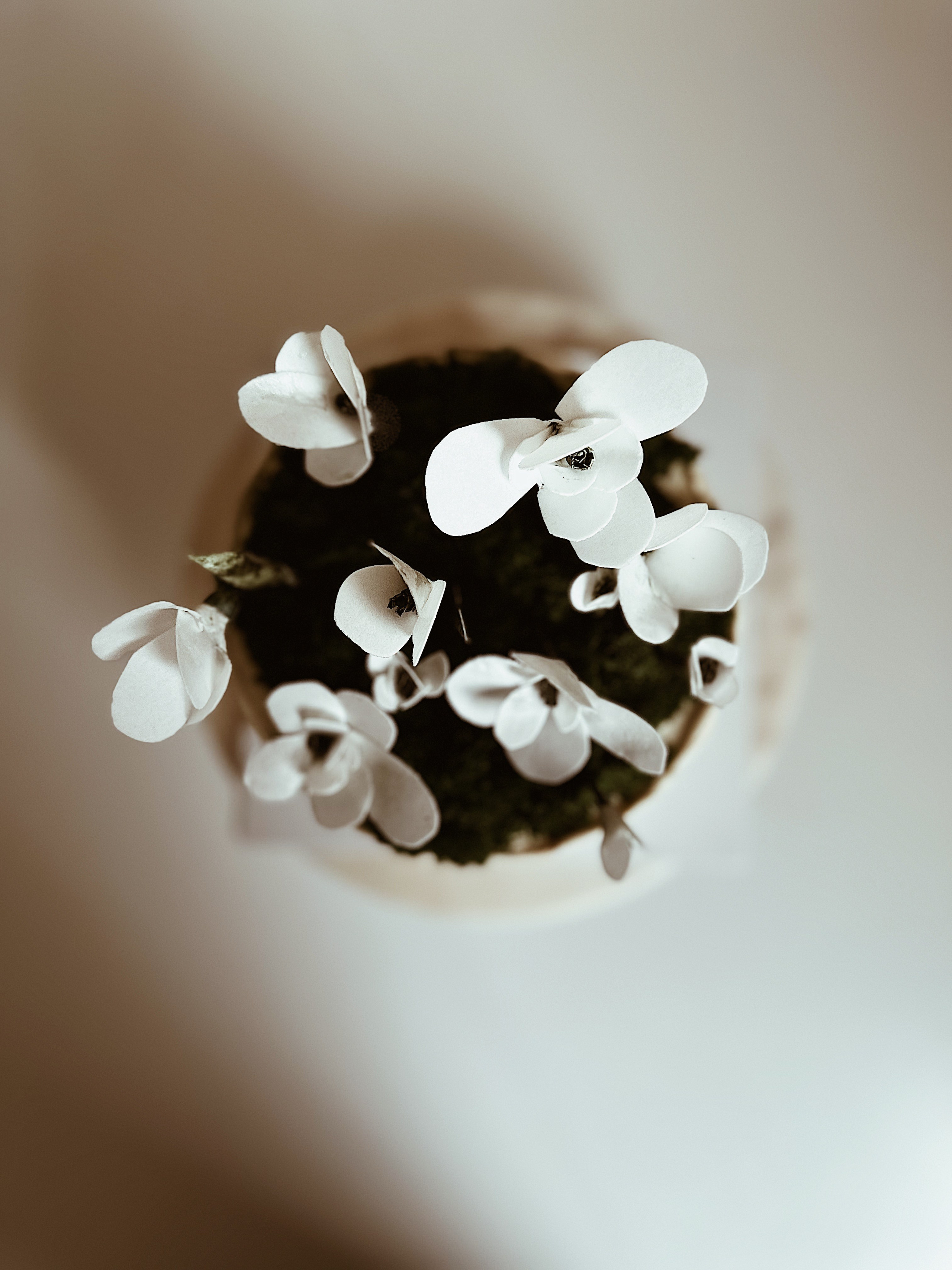 Мини-cake. Арт-кондитер в Москве Маша Шафран