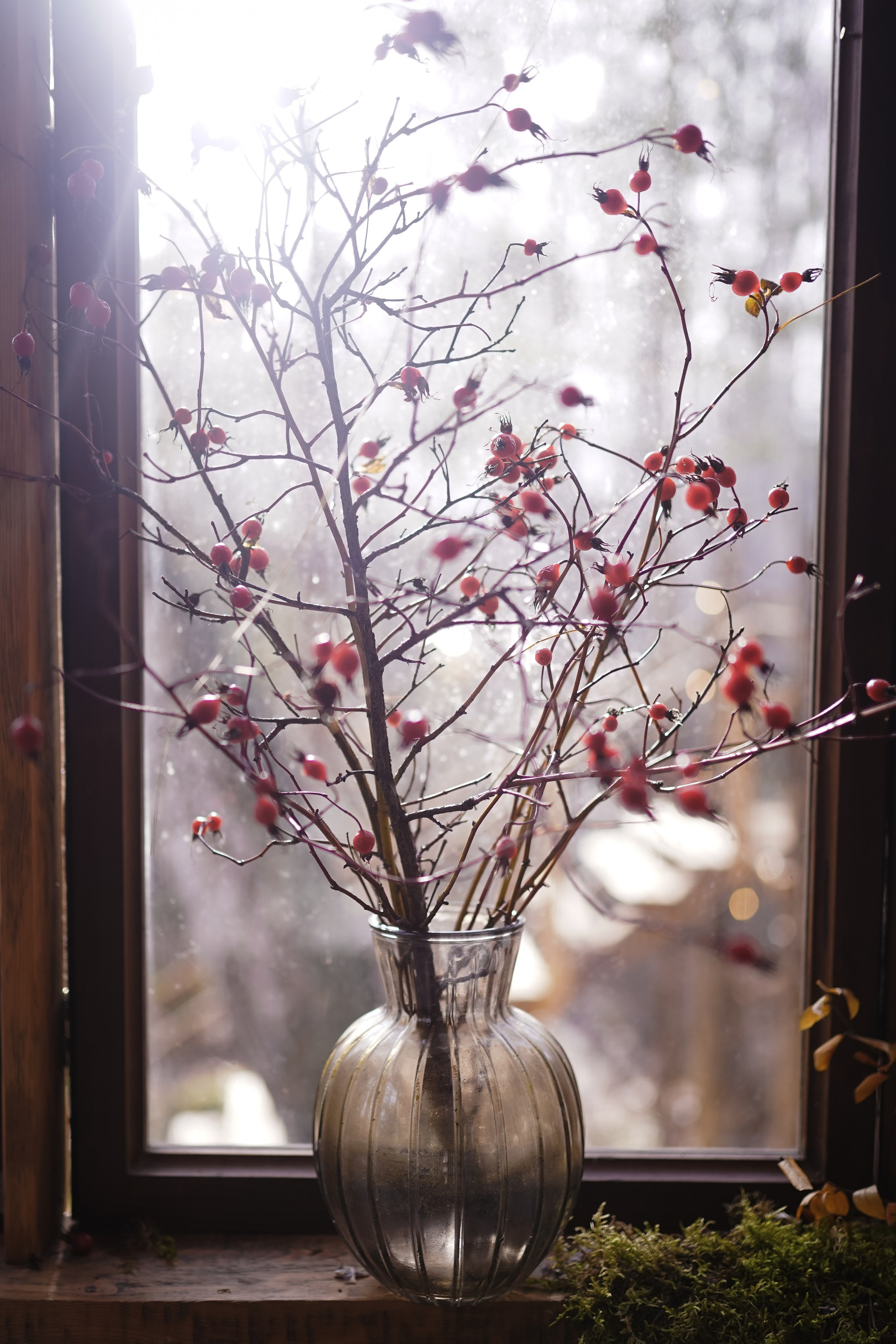 Домик на дереве