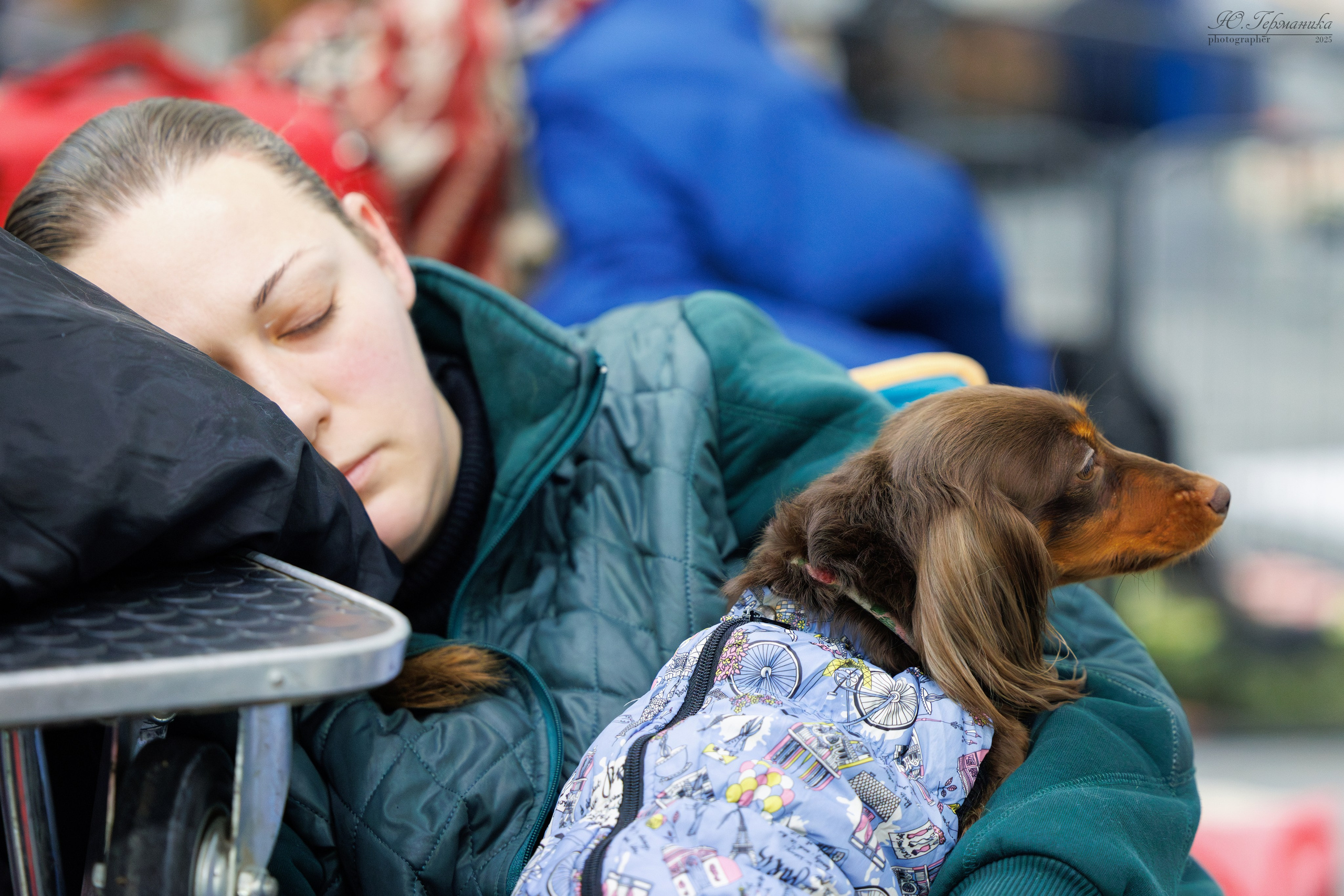 Сабанеевка Казань 25-26.01.2025. Фотограф-анималист Юлия Германика