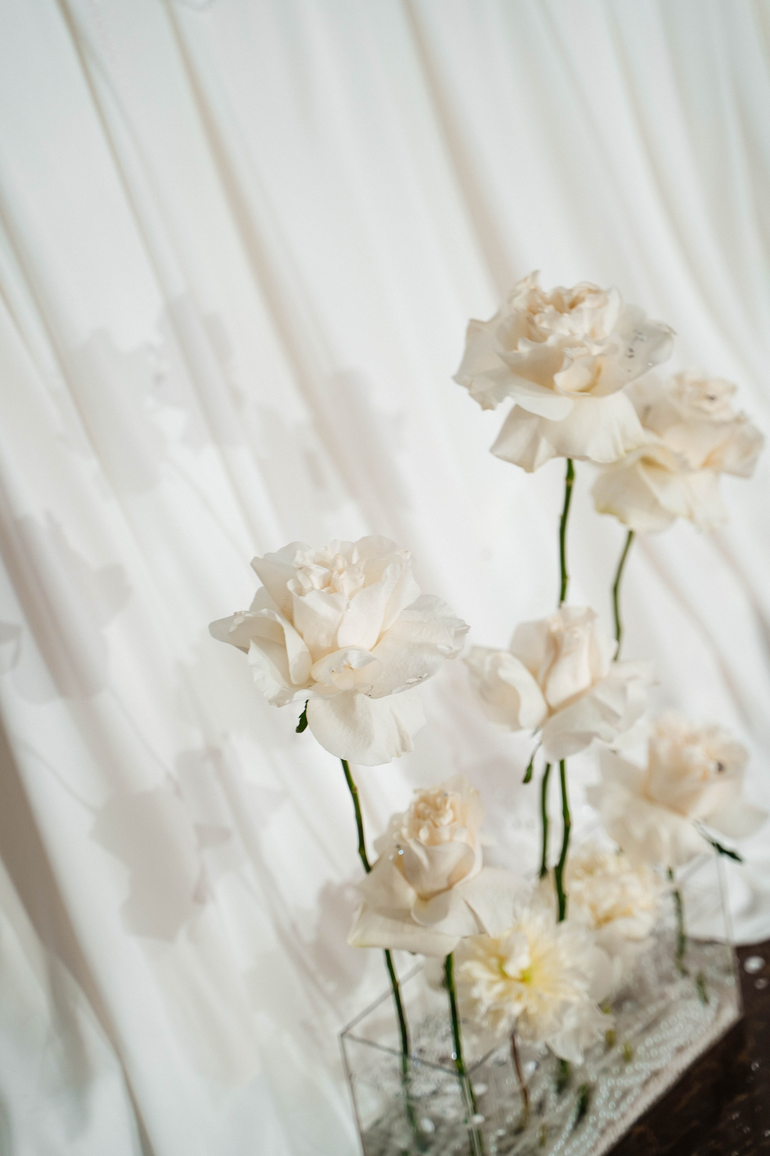 Илья и Вика — все начинается с любви. Свадебный и семейный фотограф