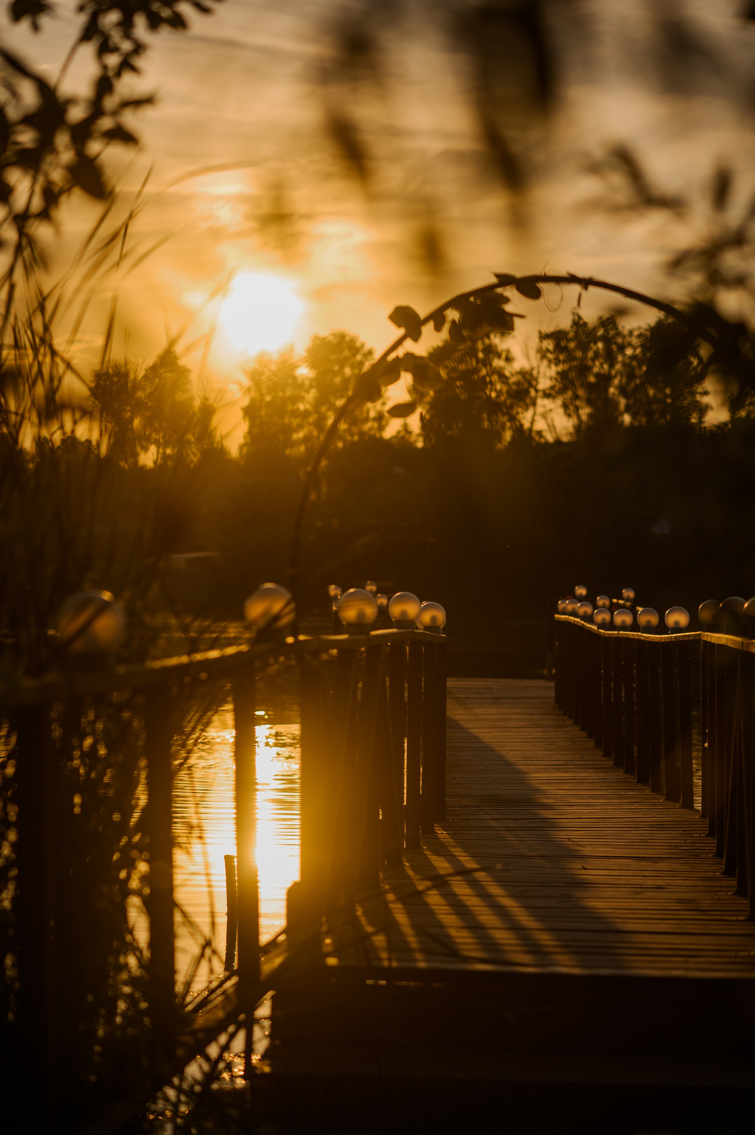 Роман и Настя. Свадебный и семейный Фотограф в Пензе Татьяна Лапоногова
