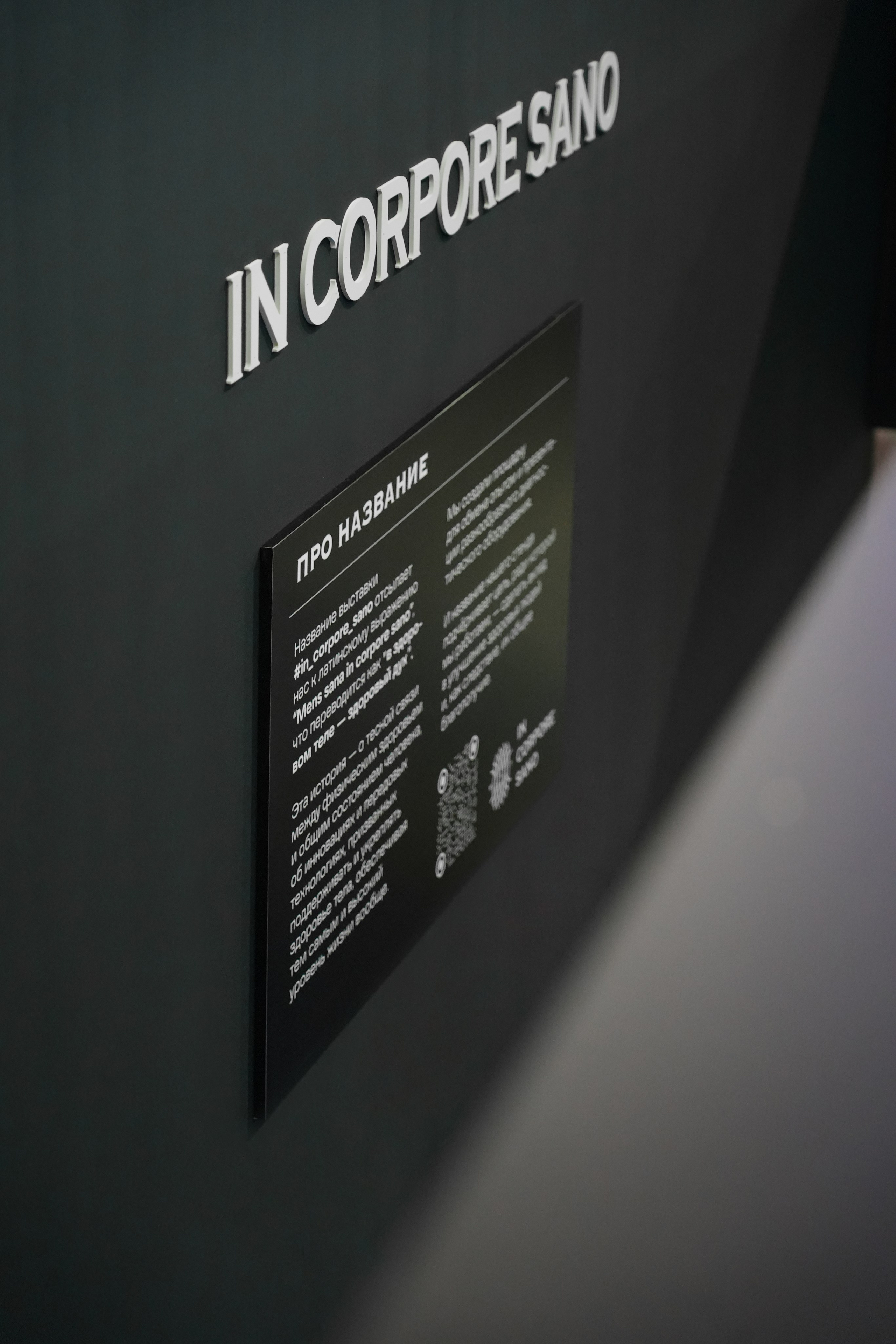 О дизайнере