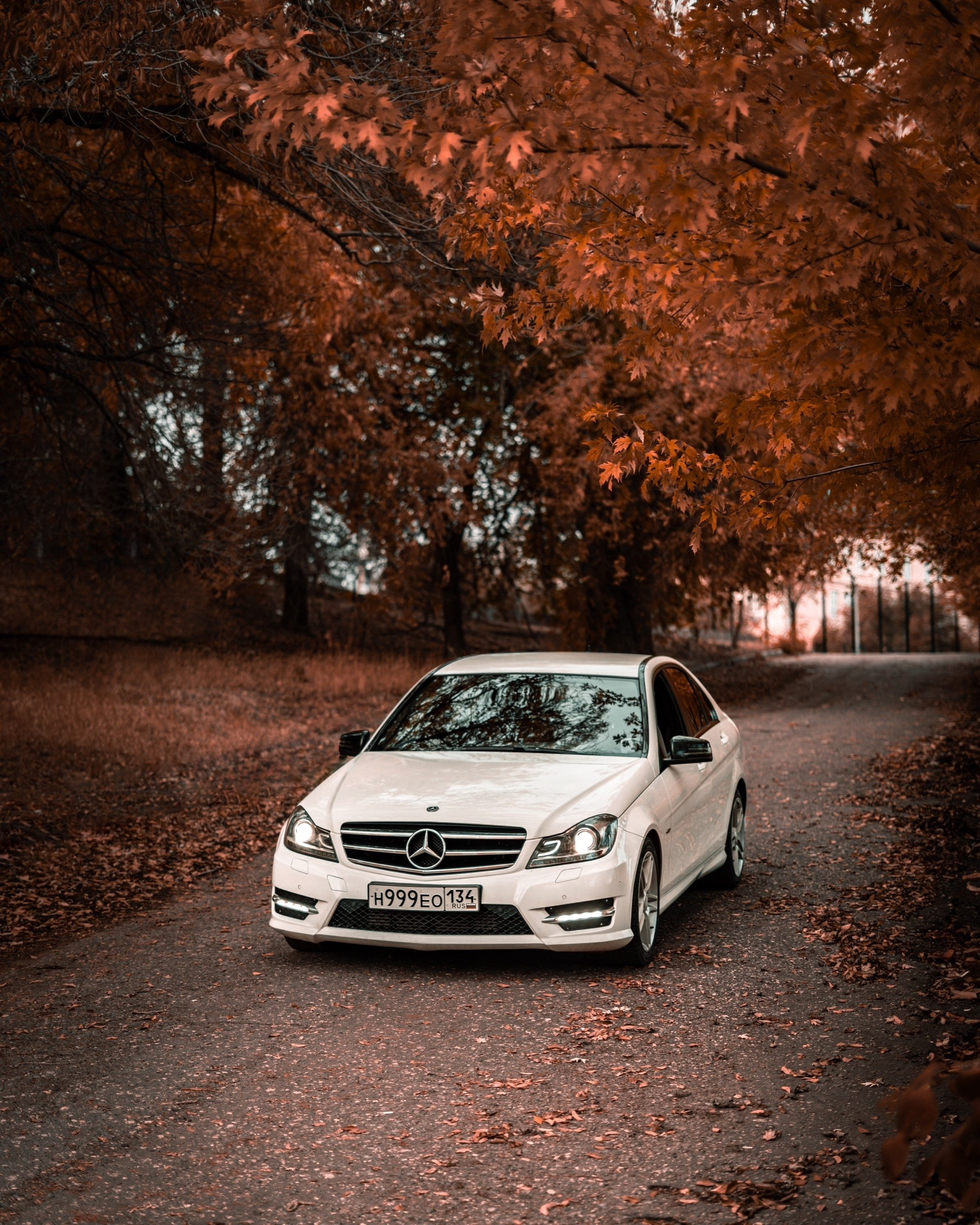 Mercedes c180. Фотограф Александра Волкова | Волгоград