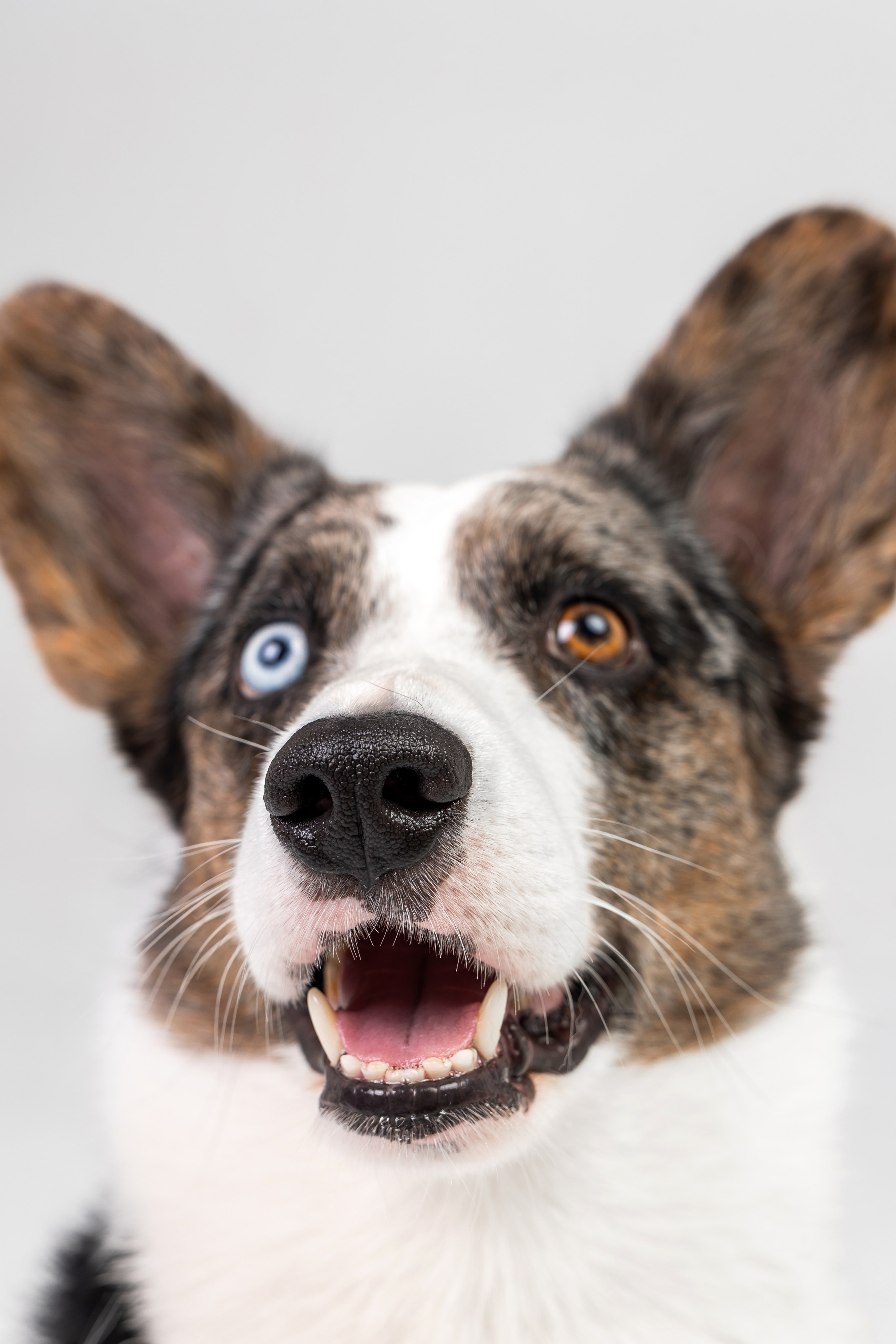 Анатолий и Рагнар