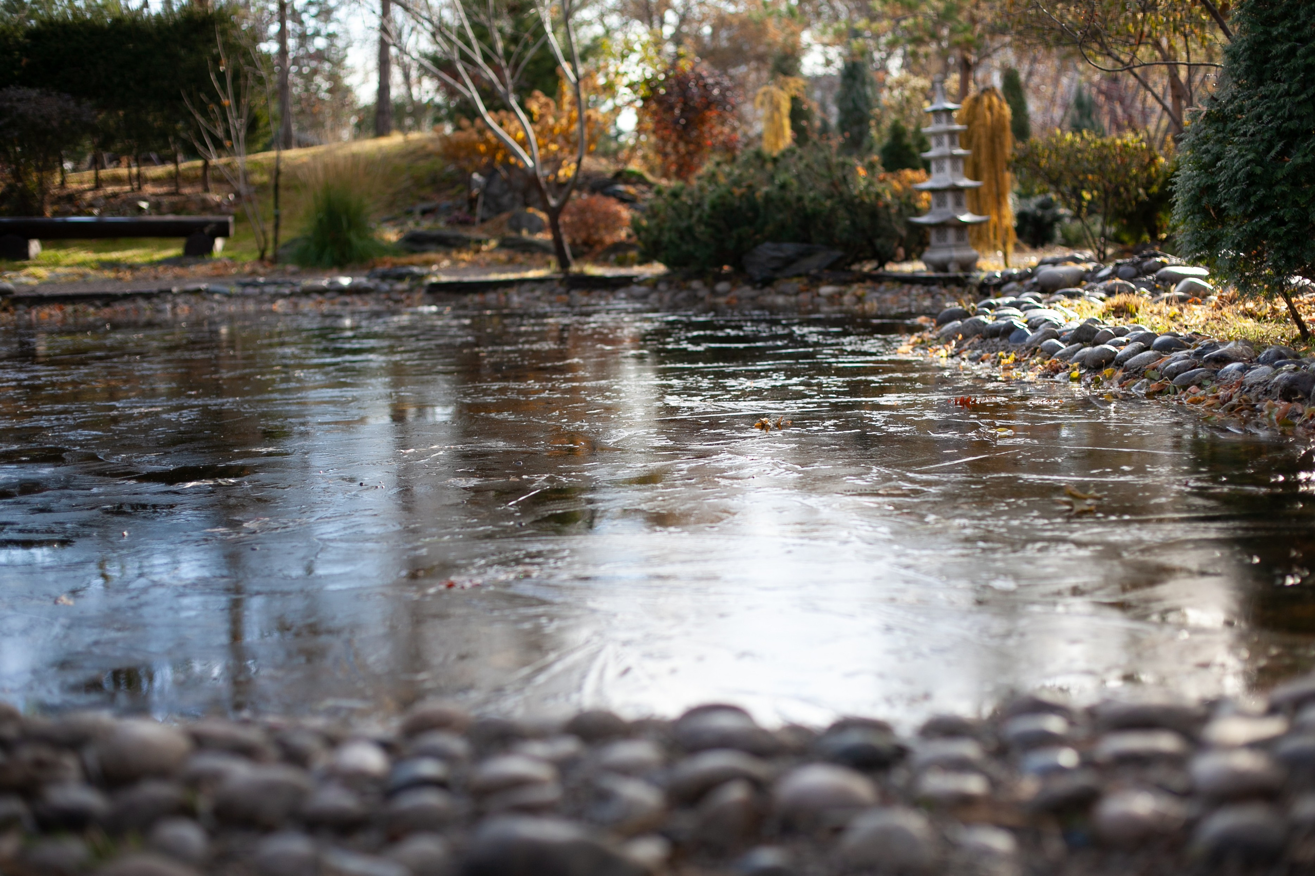 Сады Мечты. Контент для сайта. Фотограф Дарья Локотко в Красноярске