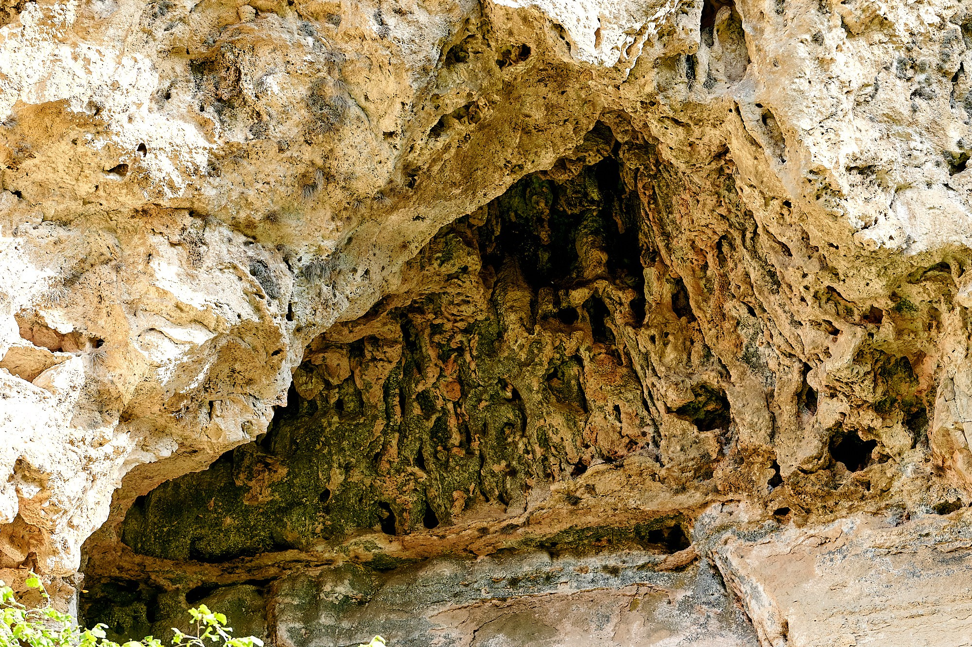 Кисловодск, Россия. Август 2024. Фотографии отовсюду и обо всем