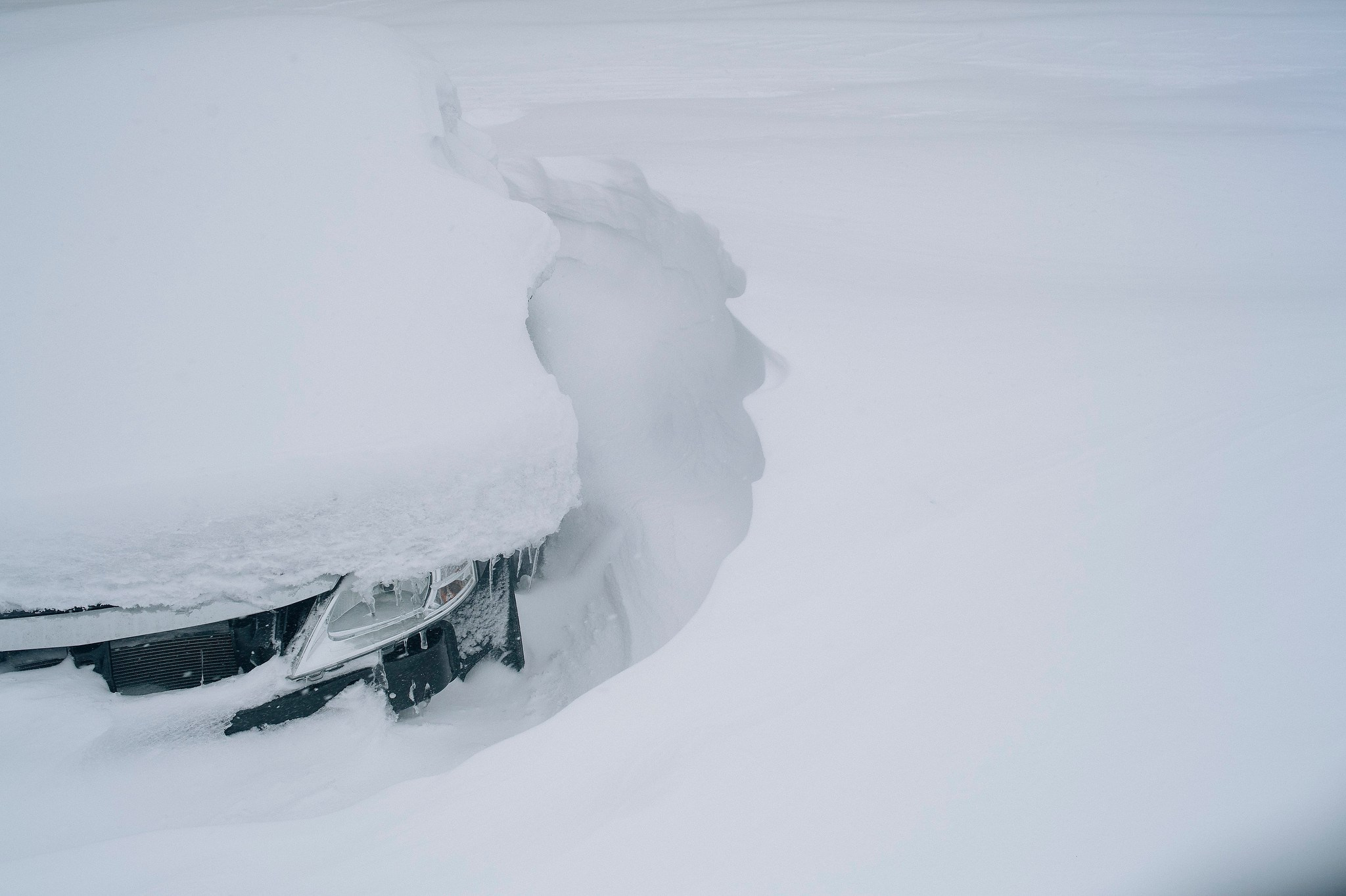 Кораль. На север к оленям. Репортажный фотограф в Сочи — Михаил Мордасов