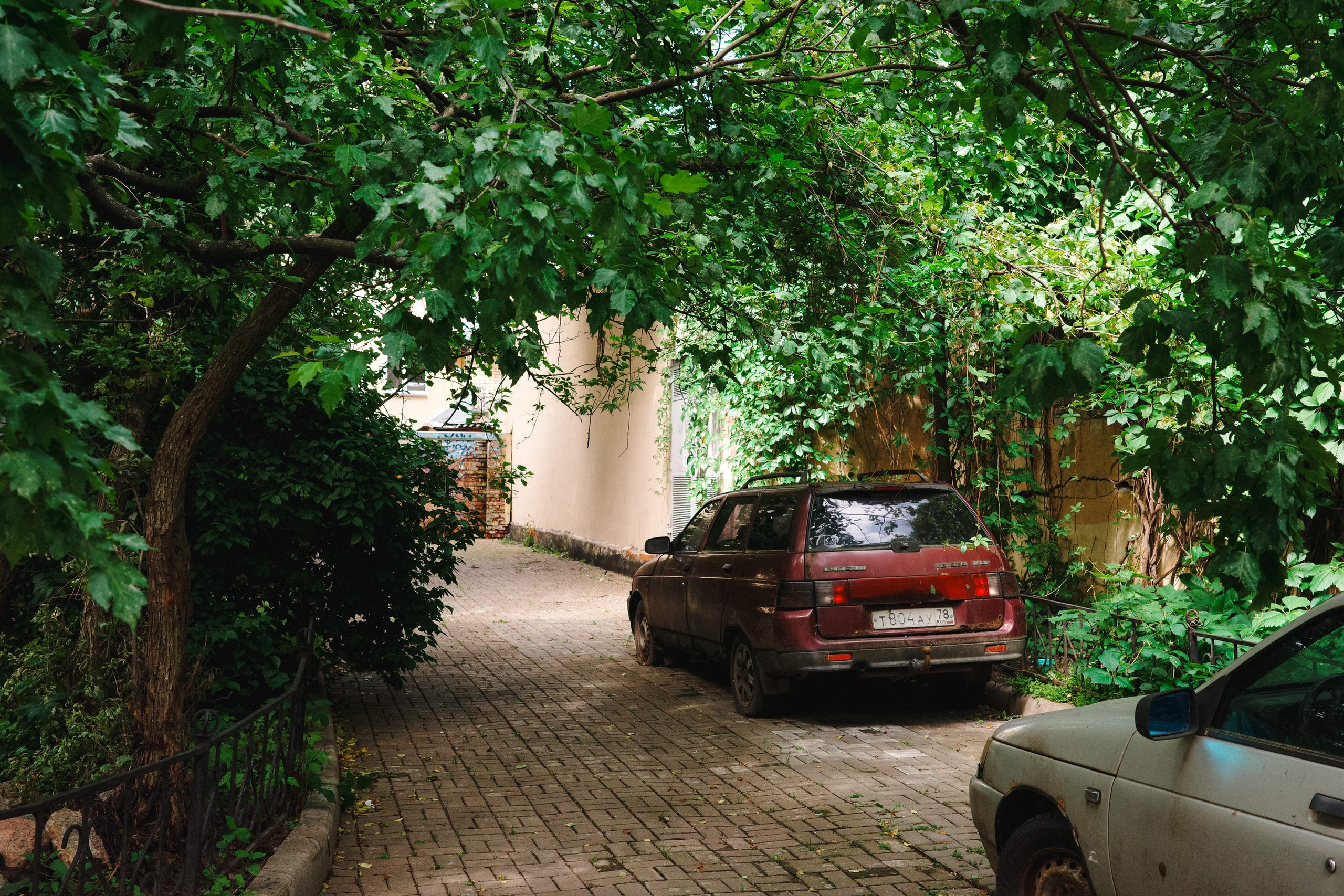 2025.06. Фотограф Алексей Алексеев