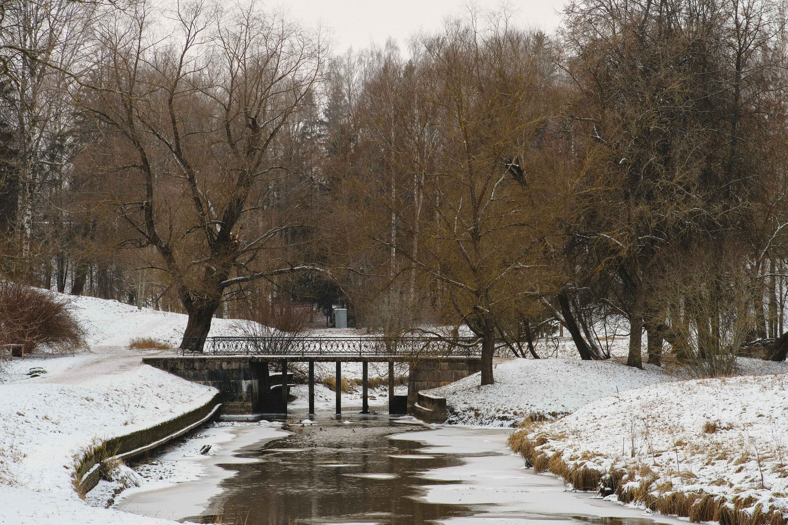 2022.11. Фотограф Алексей Алексеев