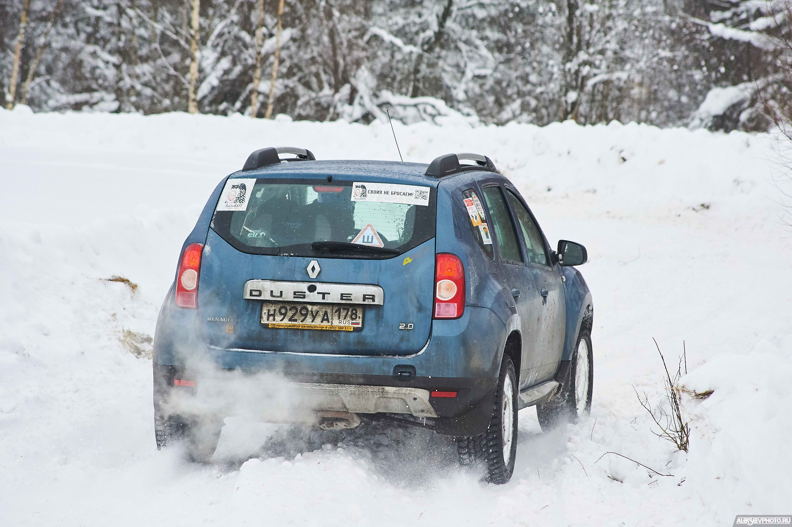 2018.02.17 — Золовкины посиделки у АвтоКОТов. Фотограф Алексей Алексеев