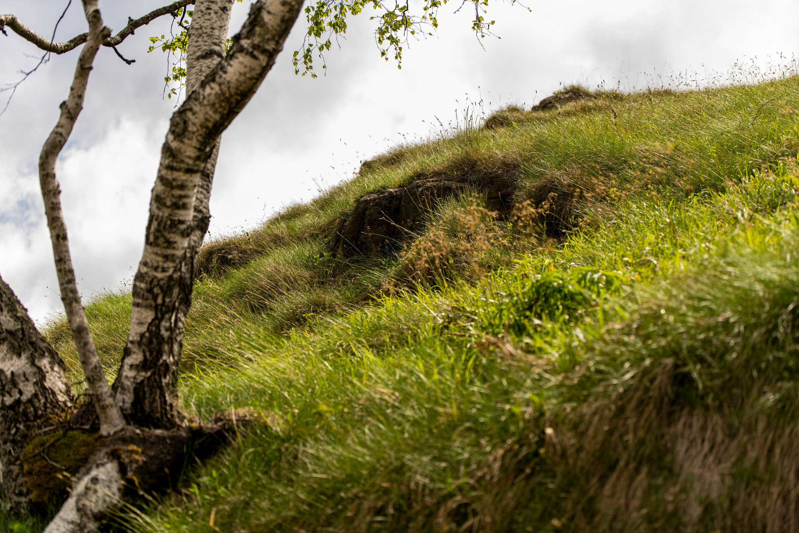 Столови. Сербия. Фотограф в Москве. Шахабудин