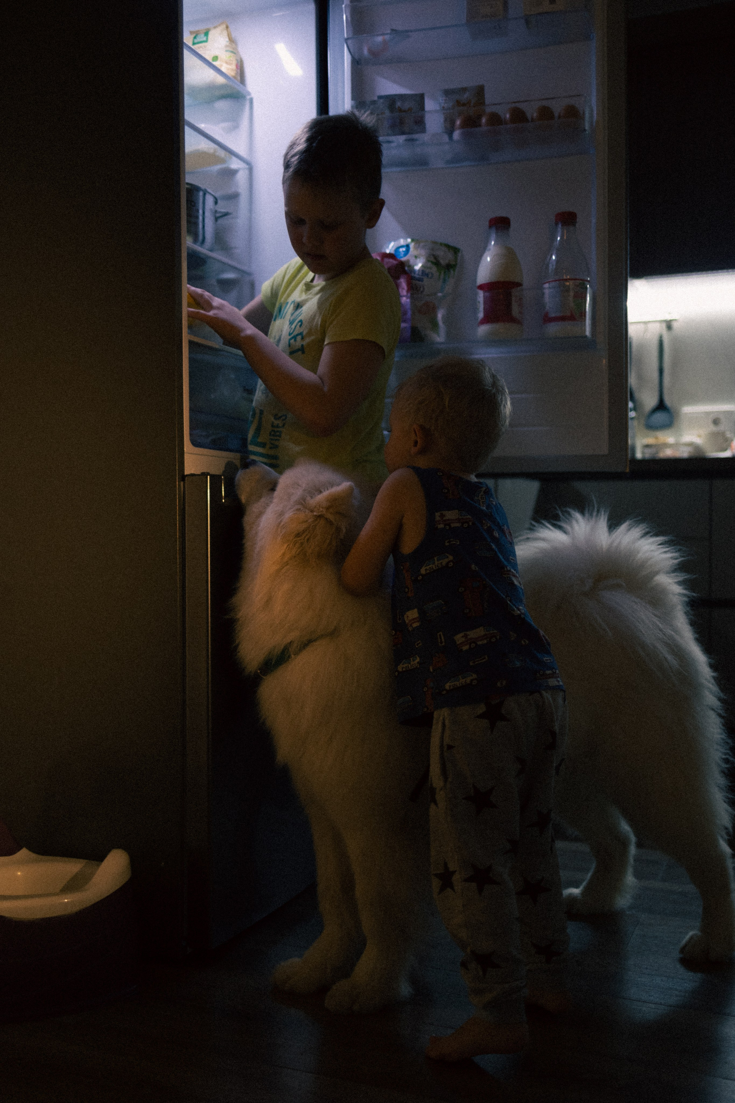Мальчишки. Фотограф анималист в Москве Майорова Евгения