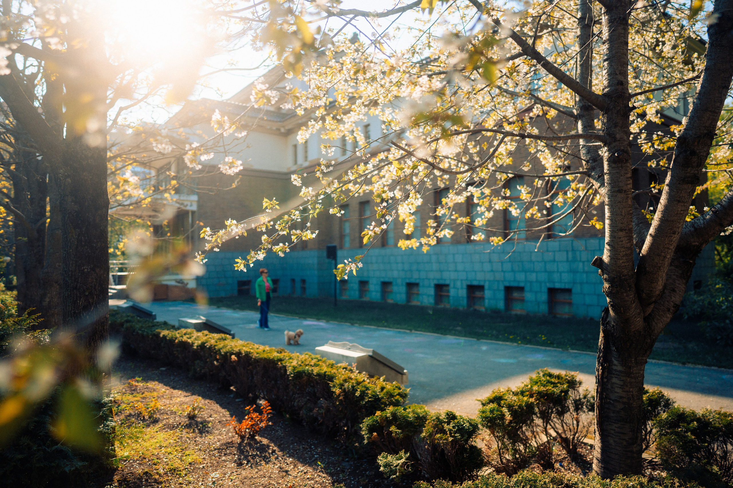 地方历史博物馆. Ivan Zaitsev (IZIART) — 通过照片和视频创建文化代码