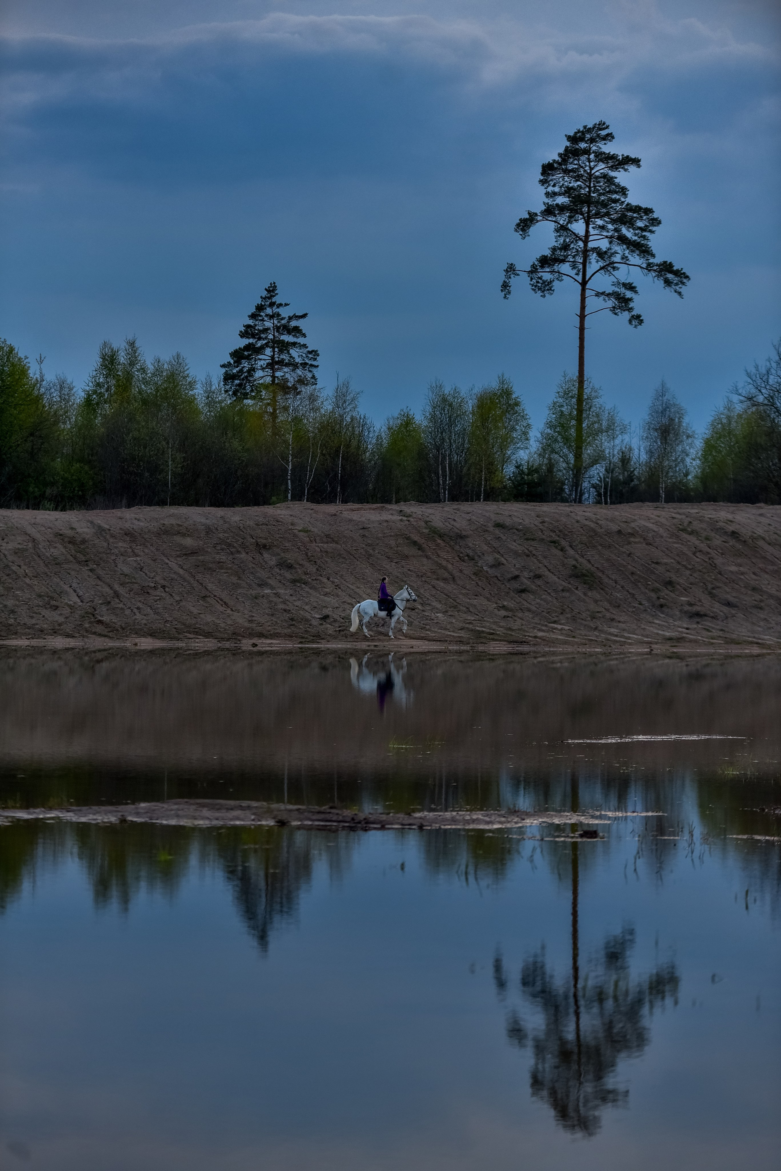 Природа. Съемки в стиле Goblicore и прочая нечисть. Конный фотограф из Москвы Ирина Бондаркова