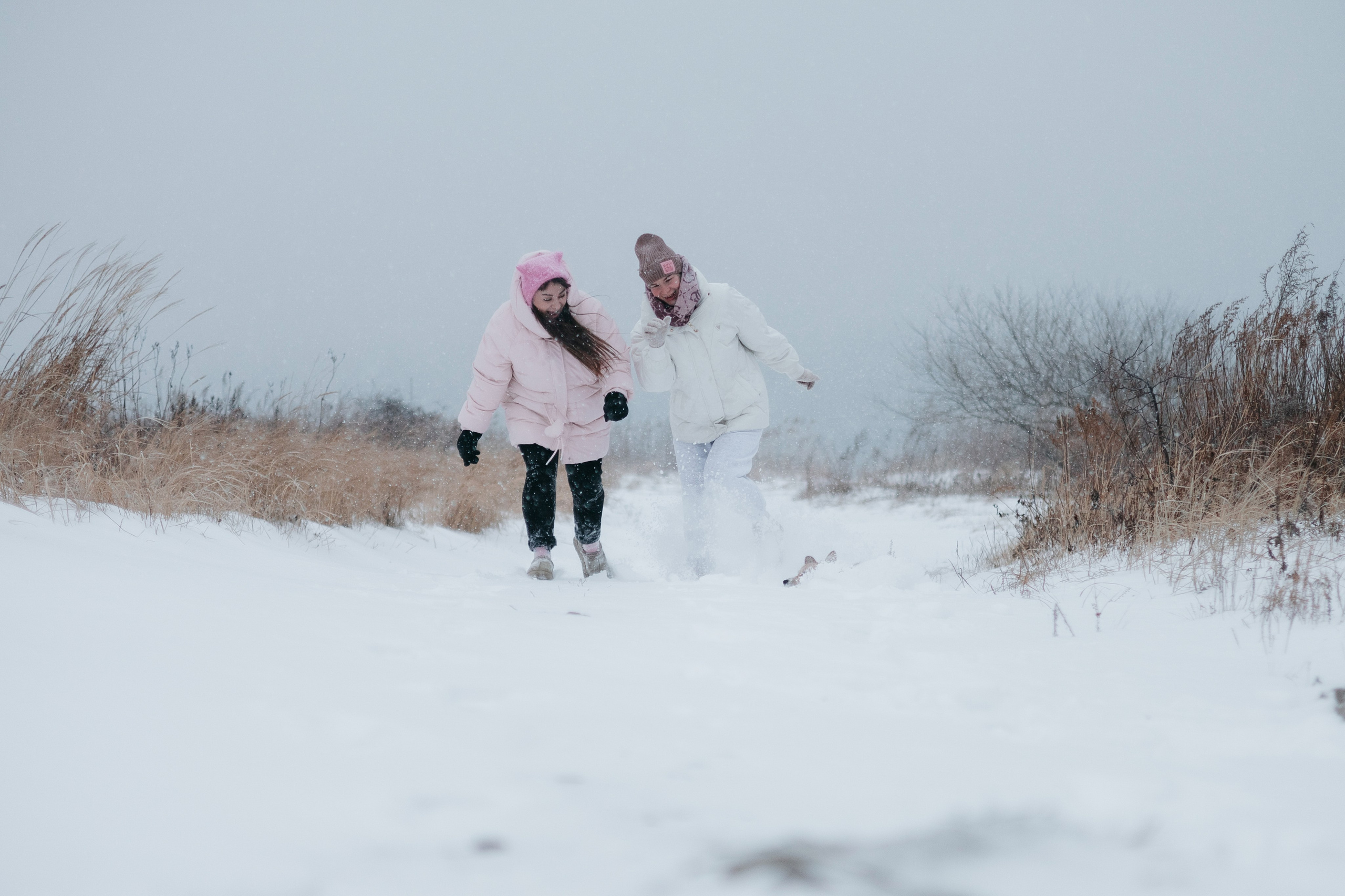 Лена, Лиза и Мия. Фотограф — анималист Владивосток, Алина