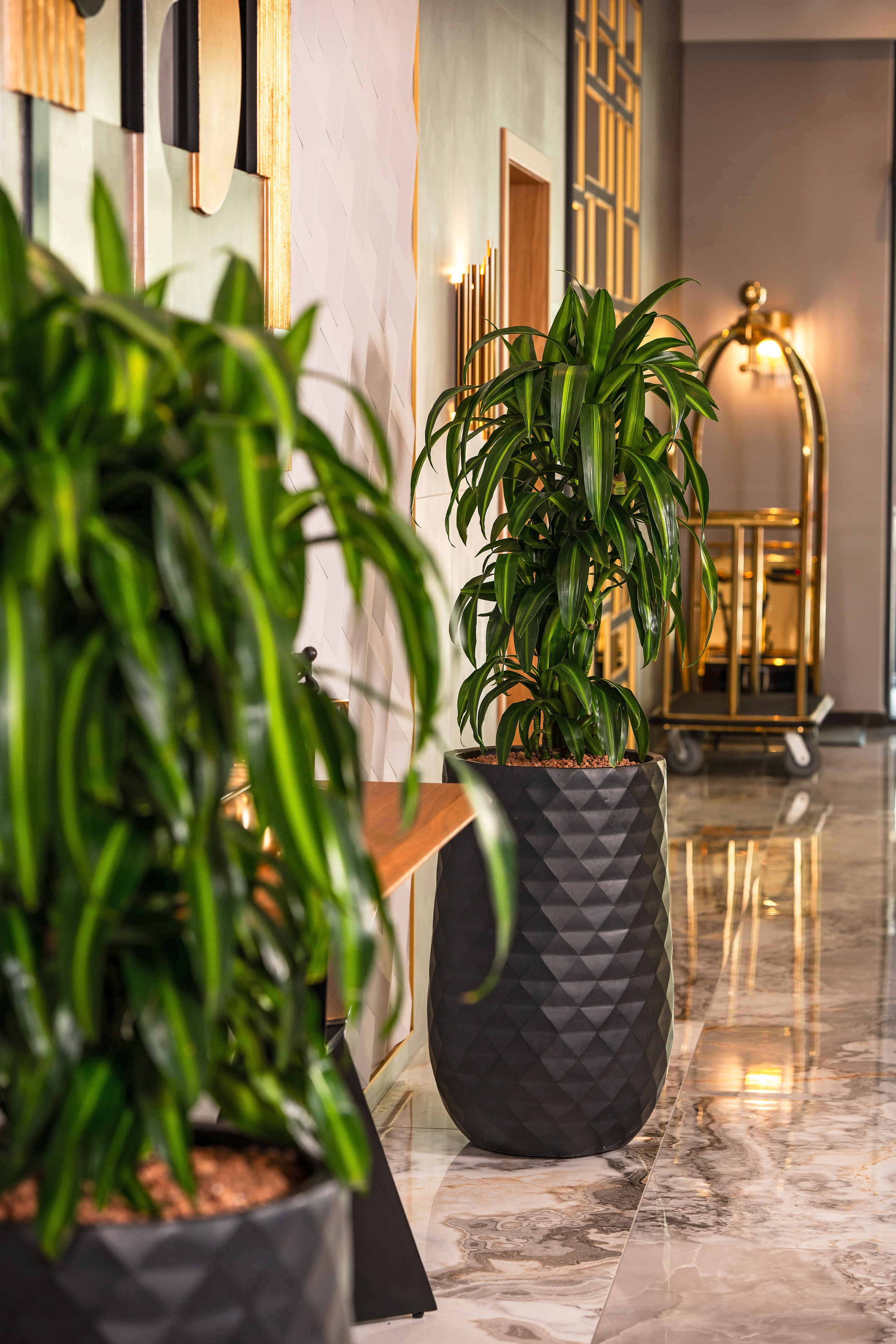 Интерьерный фотограф Сочи. Фотограф Сочи