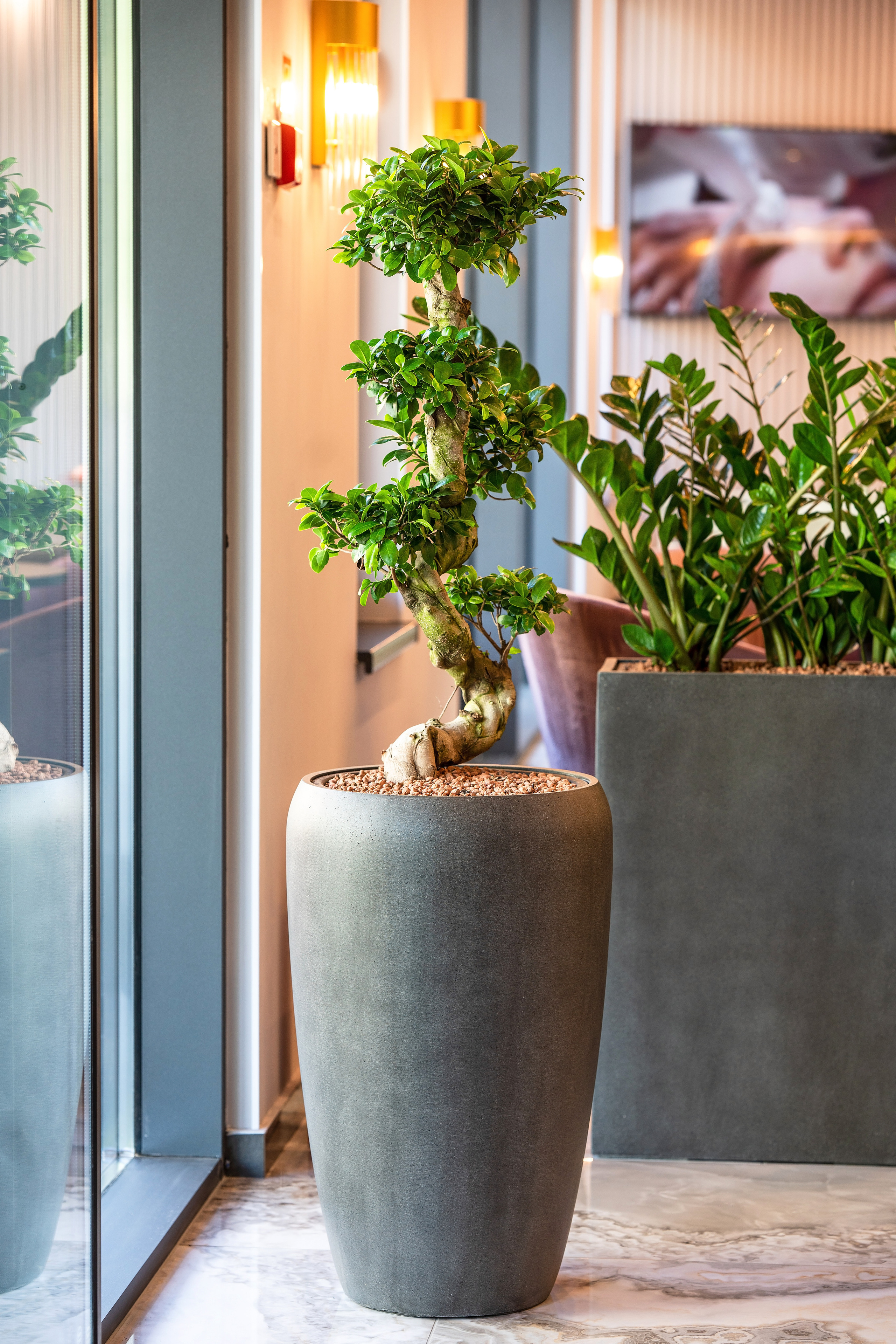 Интерьерный фотограф Сочи. Фотограф Сочи