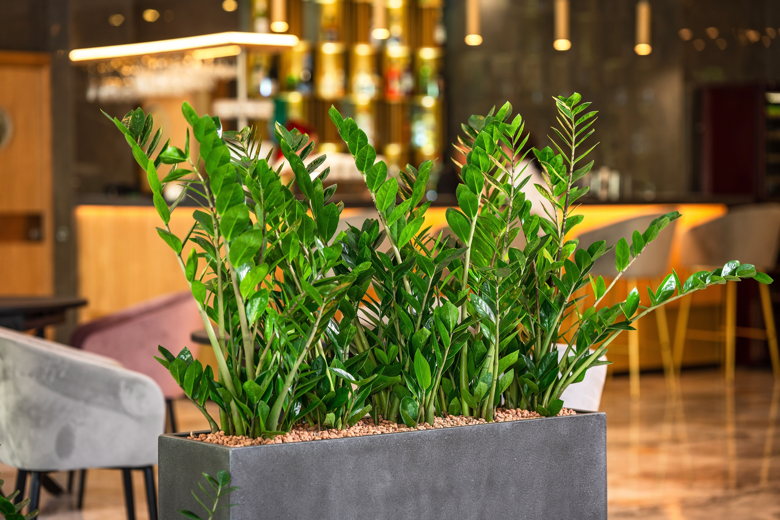 Интерьерный фотограф Сочи. Фотограф Сочи